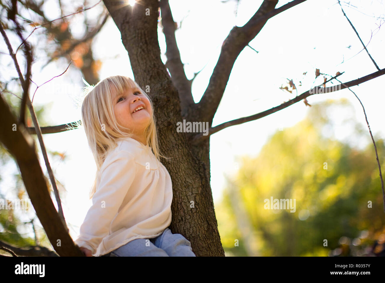 Little girl sitting in tree Stock Photo - Alamy