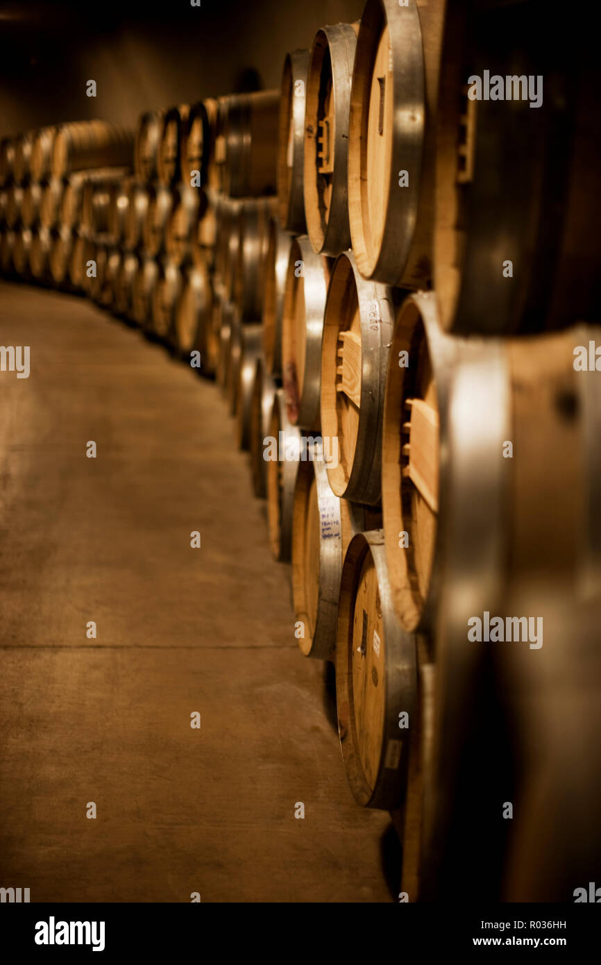 Barrels of wine in storage room Stock Photo Alamy