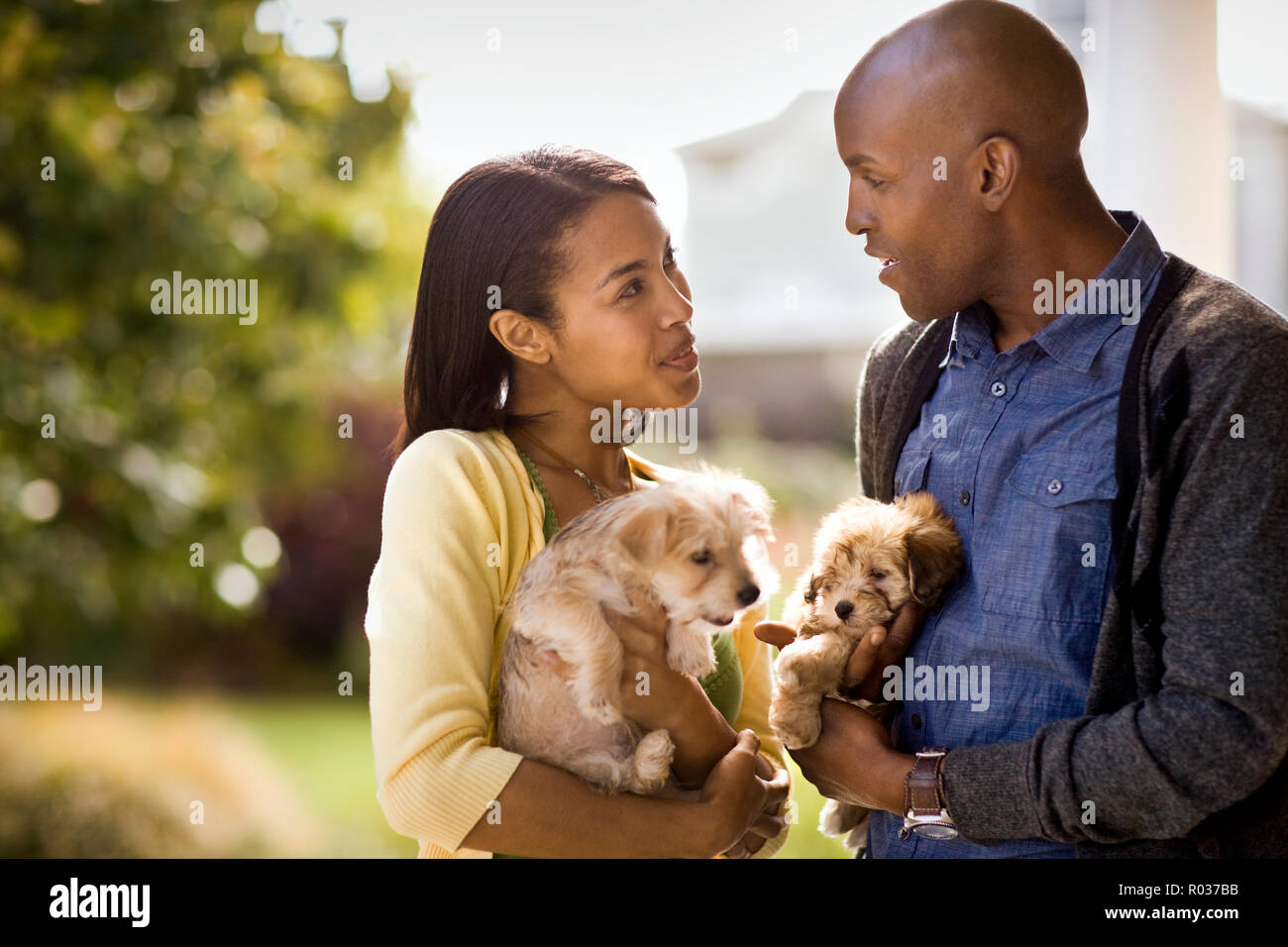 Young heterosexual couple smile at each other and talk as they each hold a puppy. Stock Photo