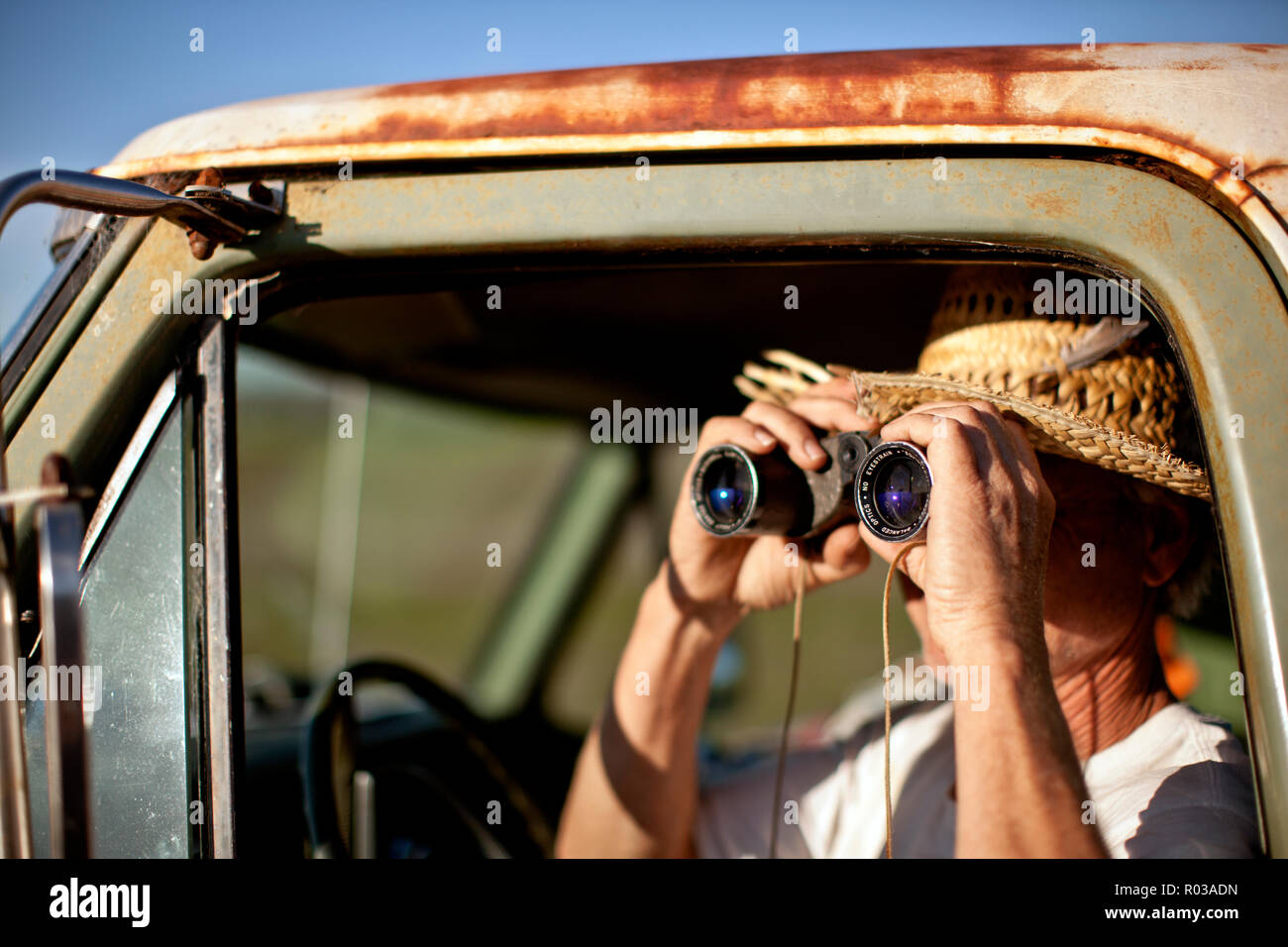 Man sitting in a pick-up truck looking through binoculars. Stock Photo