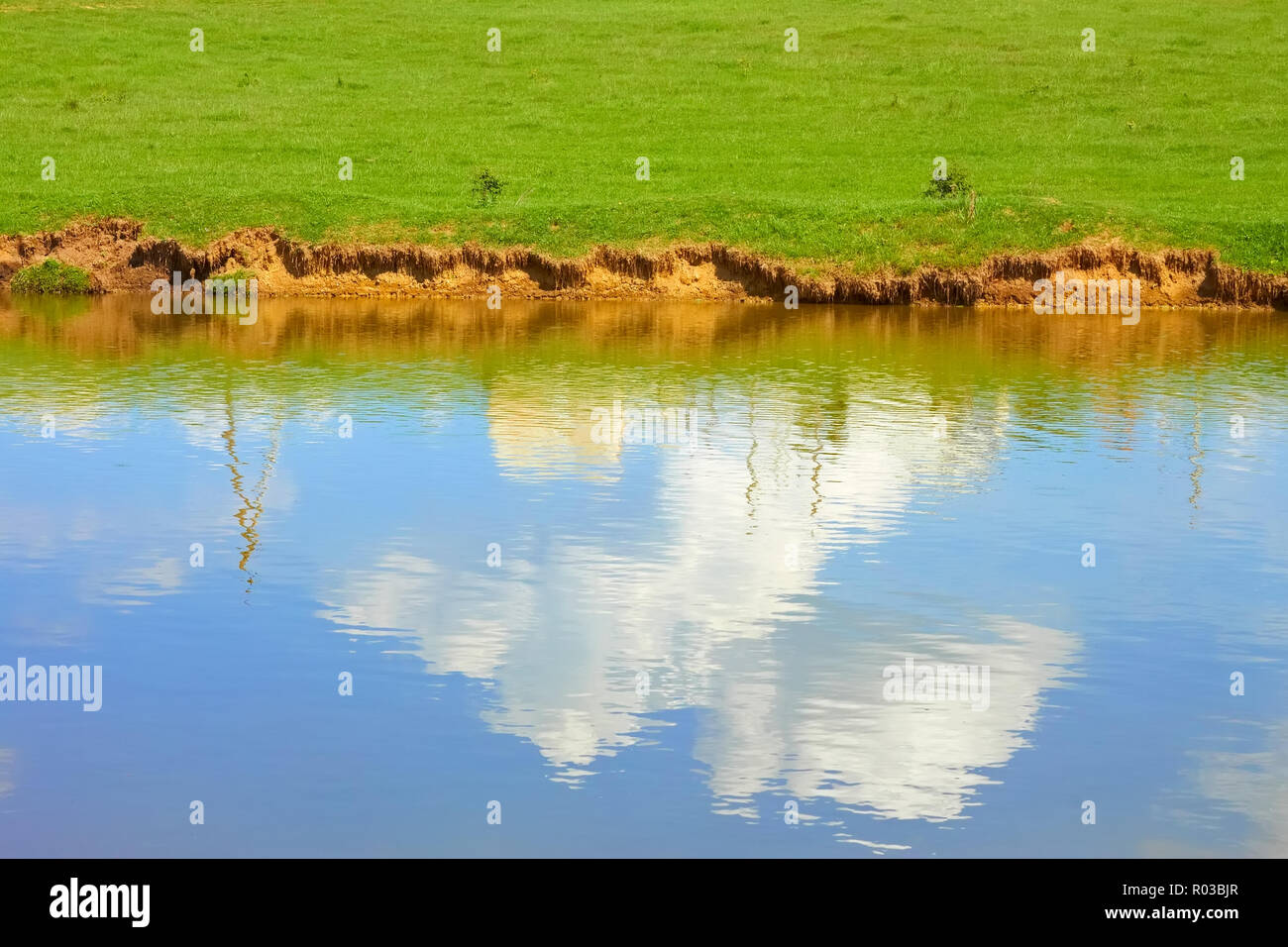 Blue sky with white clouds reflected on a ponds water surface in ...