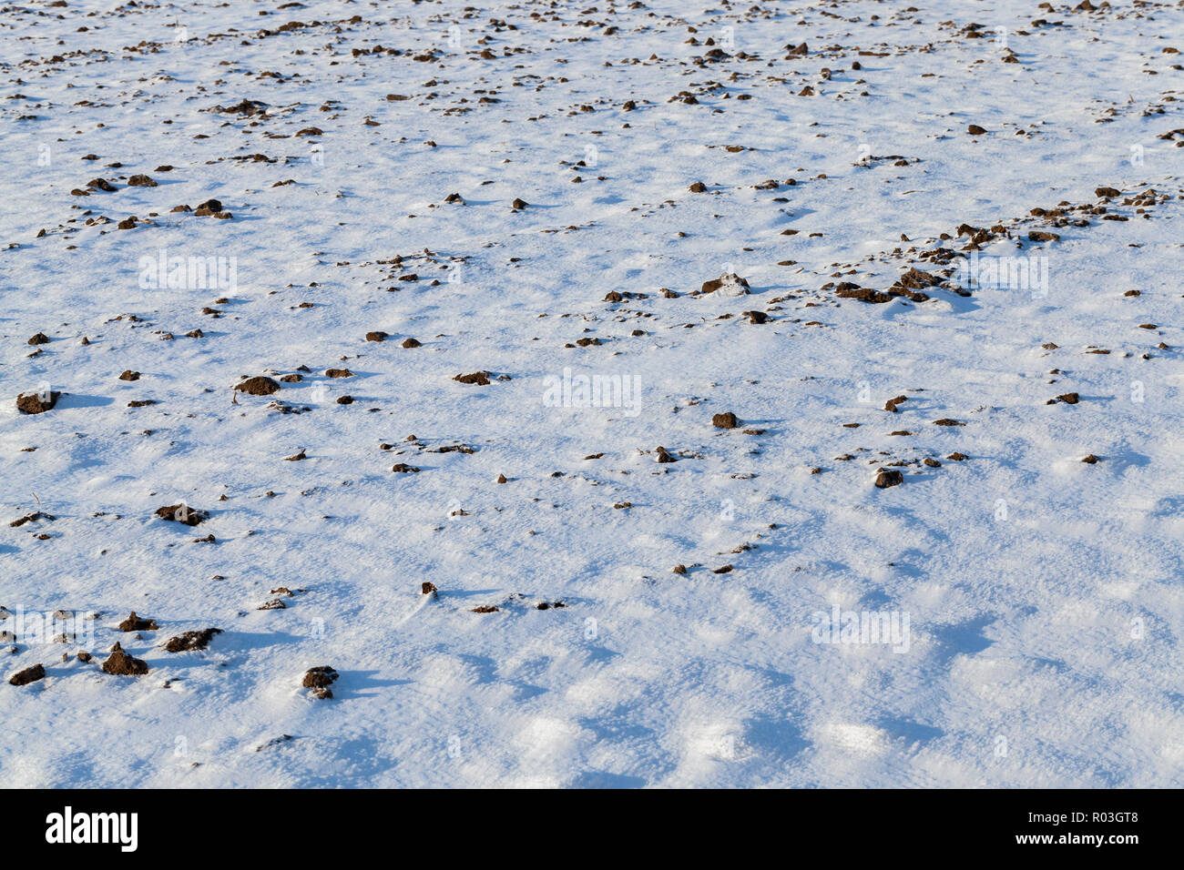 вся земля покрыта снегом картинка. покрыто снегом. земля покрытая снегом. снег. снежный покров земли.