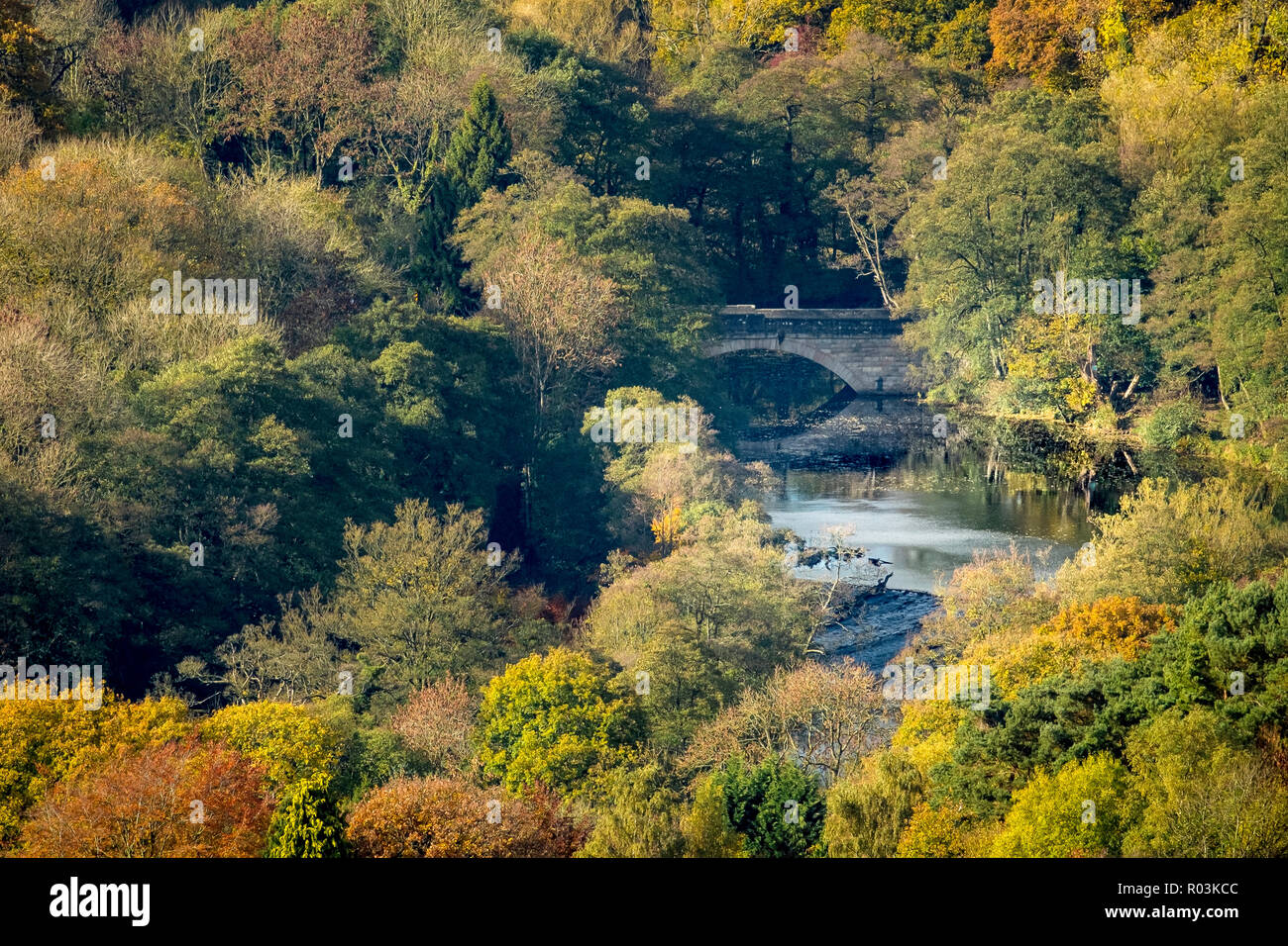 A bridge over the river Derwent at Calver lies in a wooded valley. Stock Photo