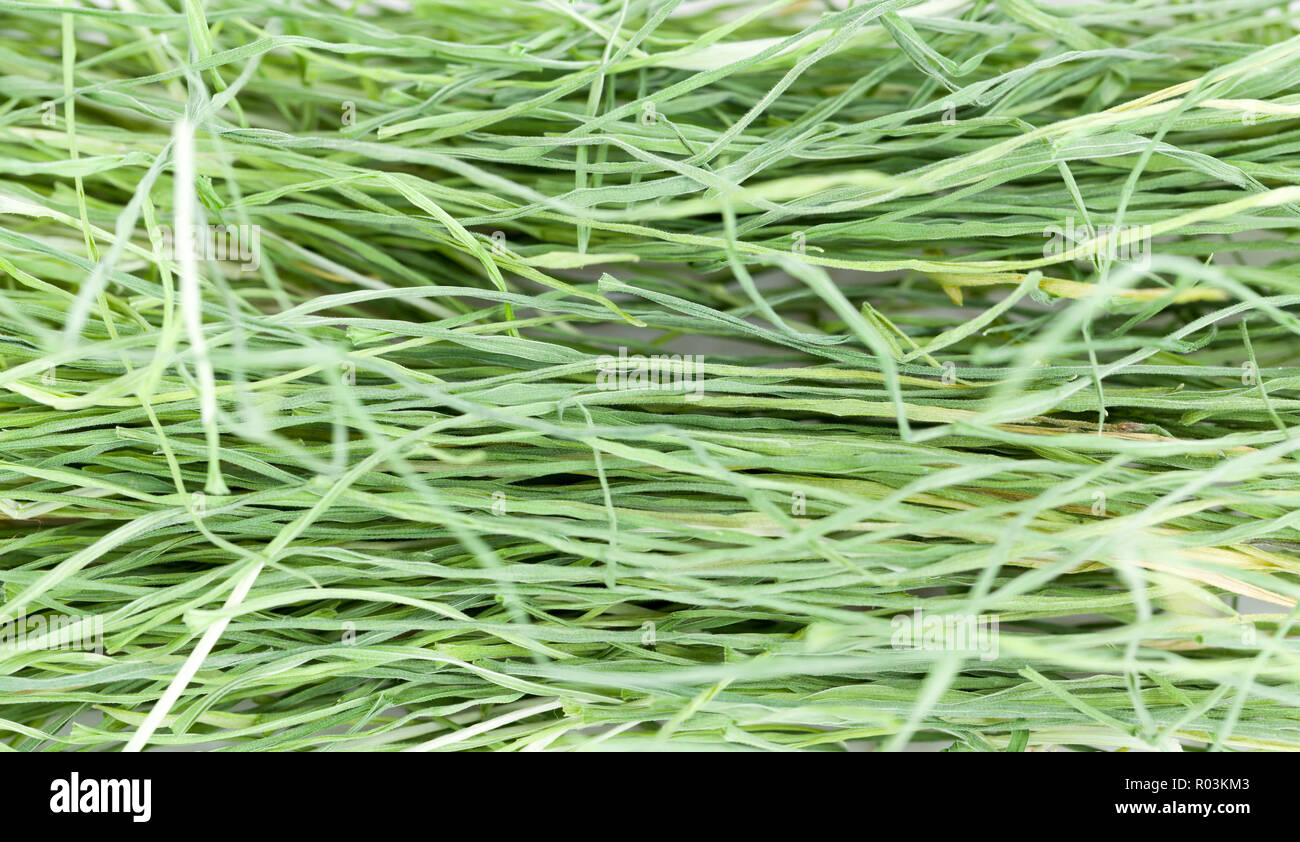 dry grass from cut young wheatgrass, agriculture Stock Photo Alamy