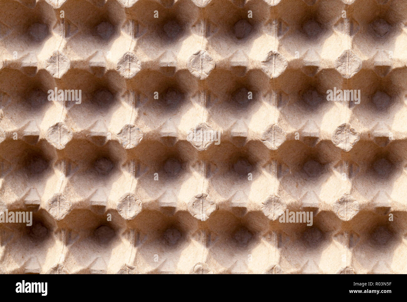 empty cardboard tray for storing eggs, top view close-up Stock Photo