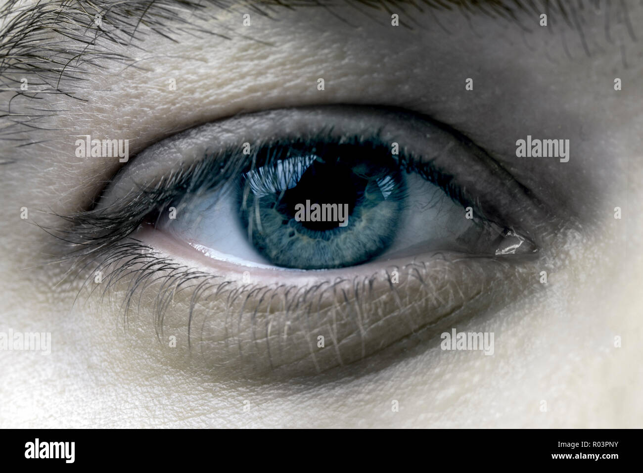 human eye close up background image Stock Photo Alamy