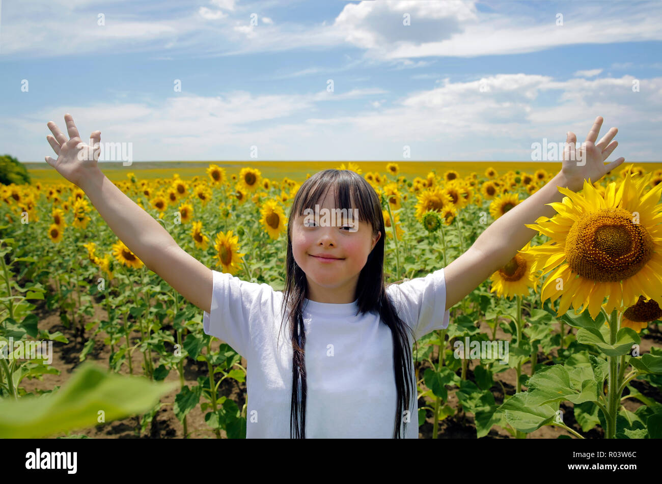 Little girl in sunflowers field Stock Photo - Alamy