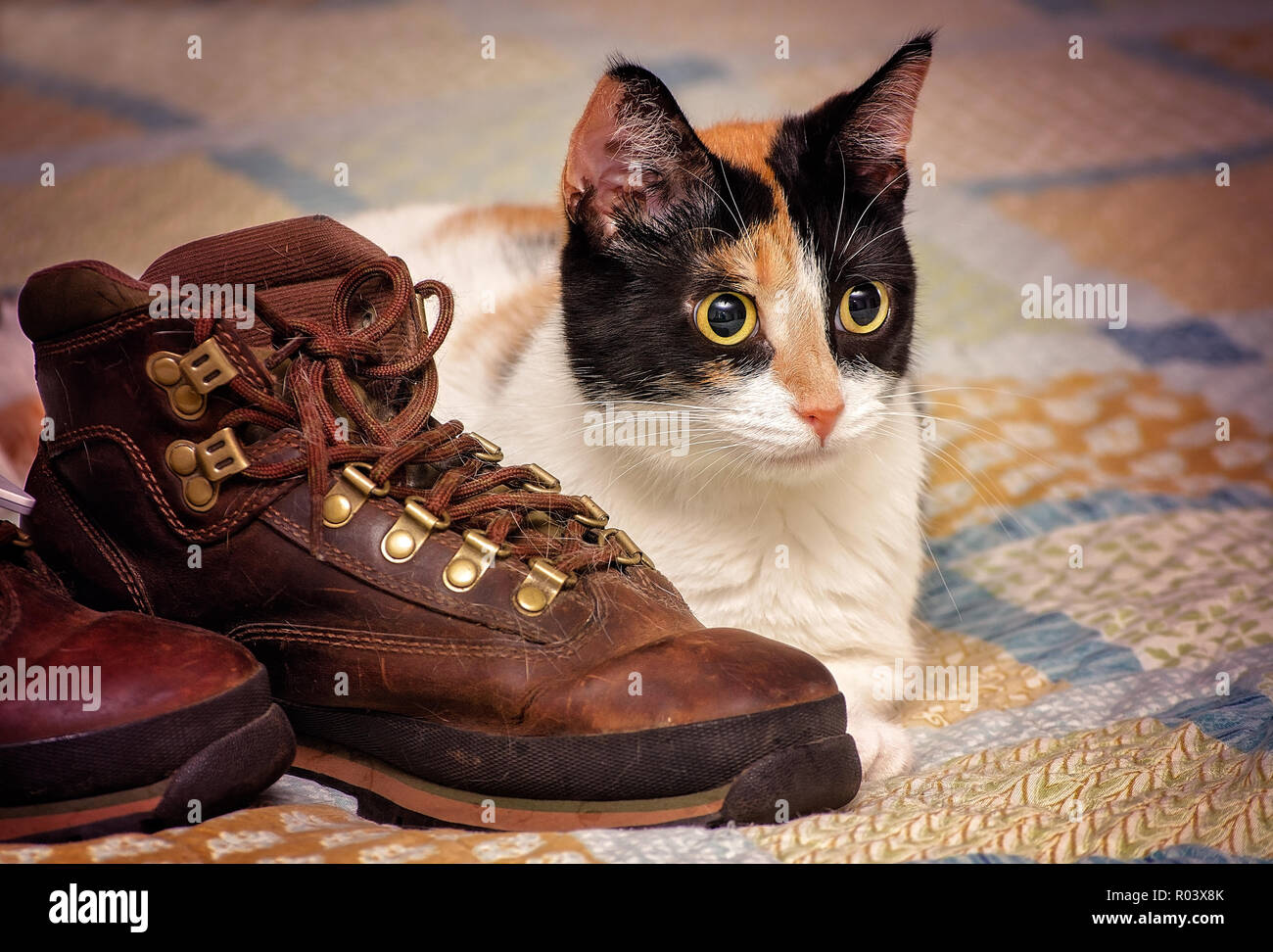 Timberland boots hi-res stock photography and images - Alamy