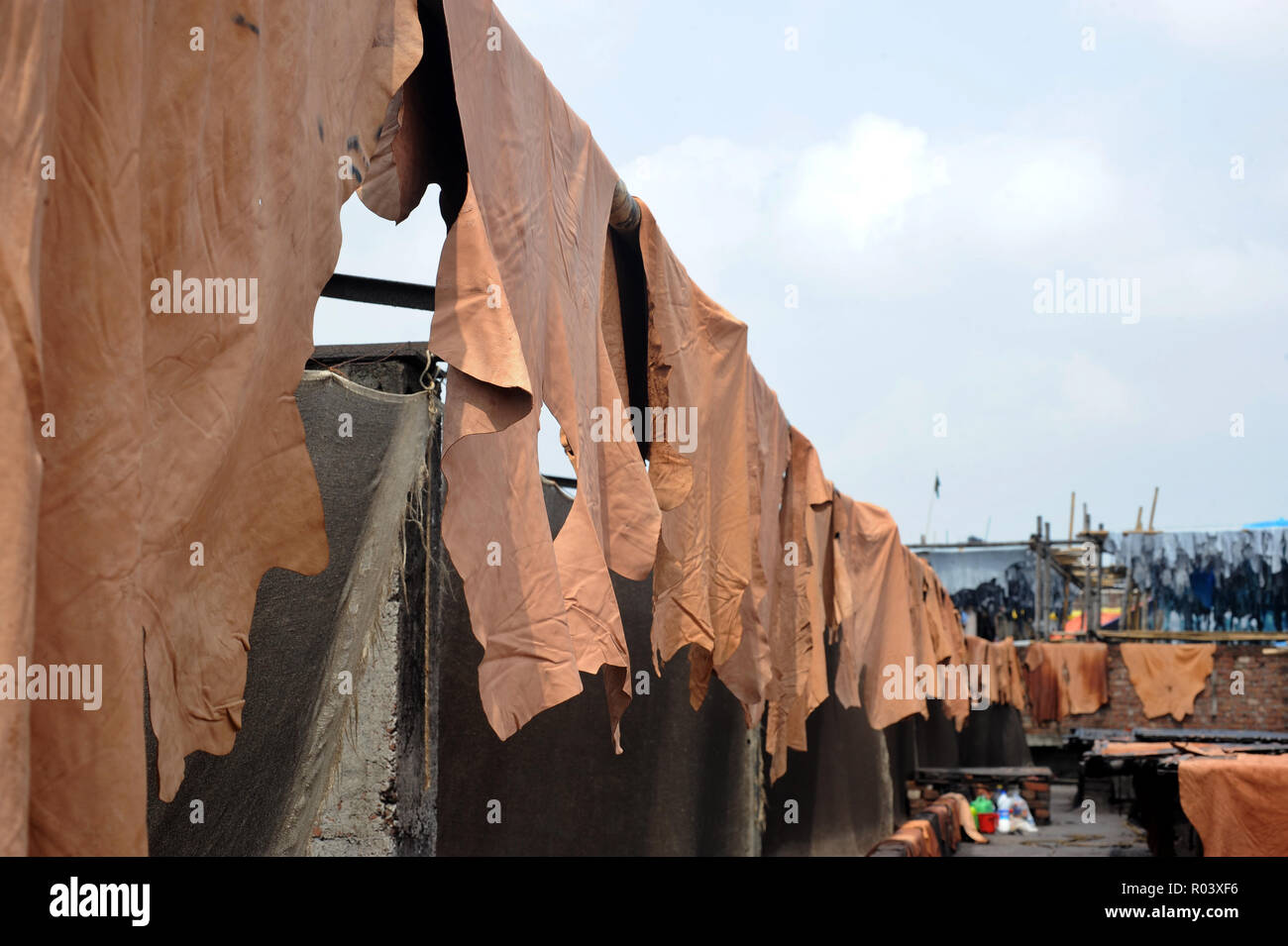 Dhaka, Bangladesh - April 04, 2016: Processed lather dries under the sun at the Hazaribagh tannery area in Dhaka, Bangladesh. Stock Photo