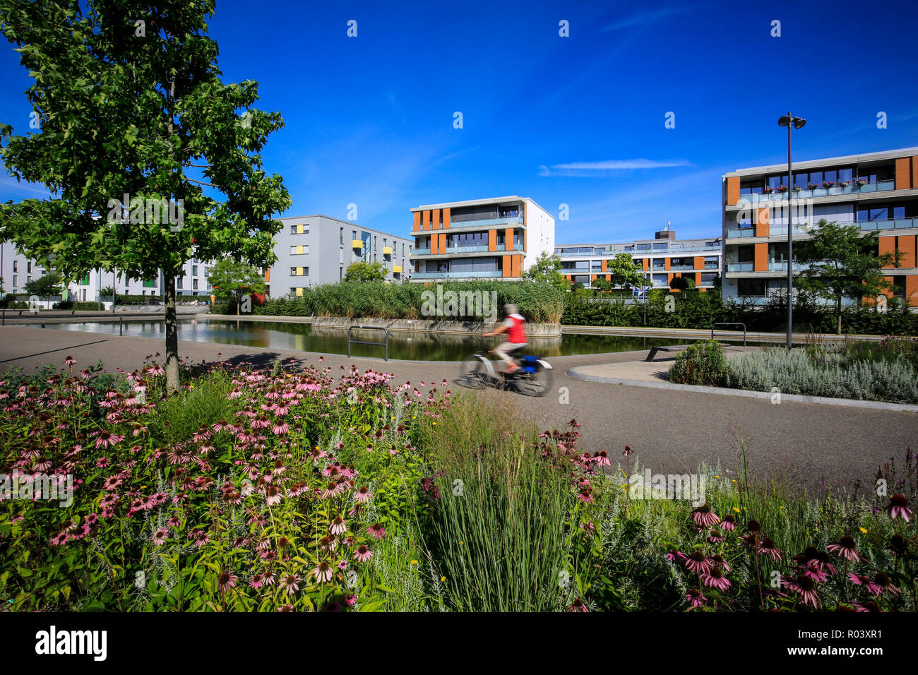 Essen, Ruhr area, Germany, urban development project Gruene Mitte Essen, new district at Uni-Park Stock Photo