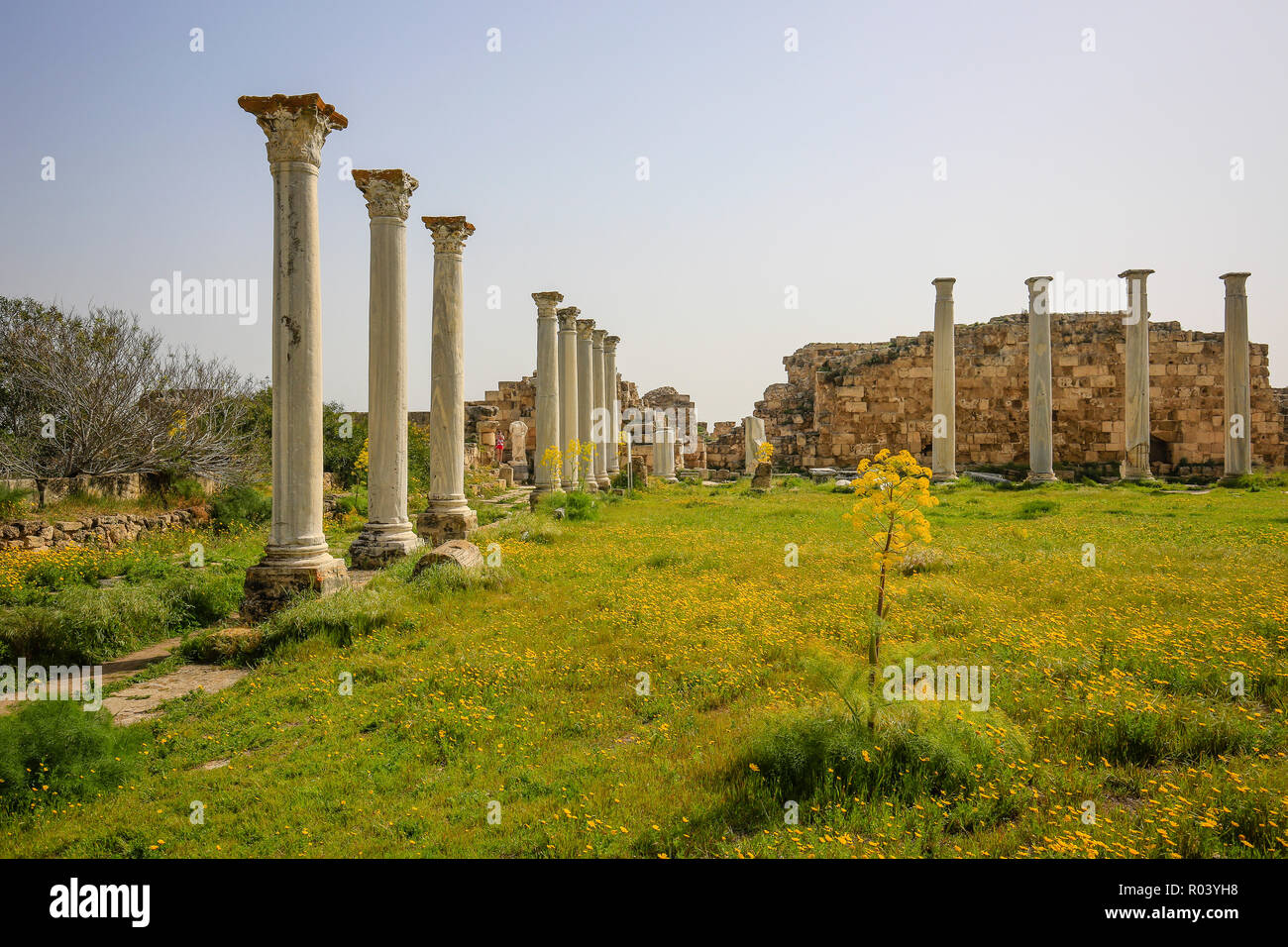 Famagusta, Turkish Republic of Northern Cyprus, Cyprus - Salamis, archaeological excavation site Stock Photo