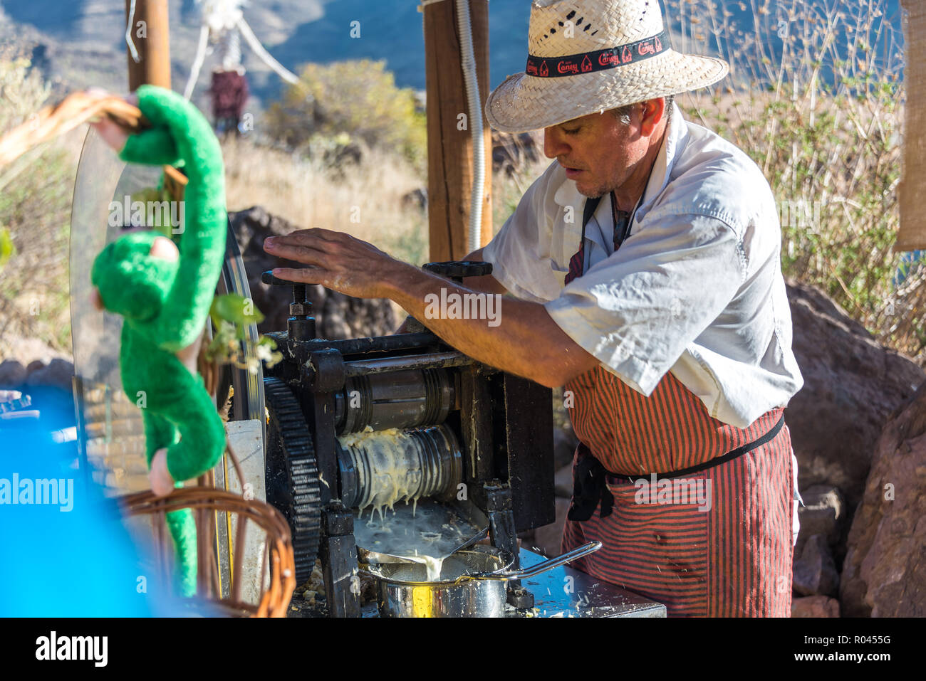 Farm man squeeze out sugar cane juice at festival Veneguera city, Gran Canaria, Spain Stock Photo