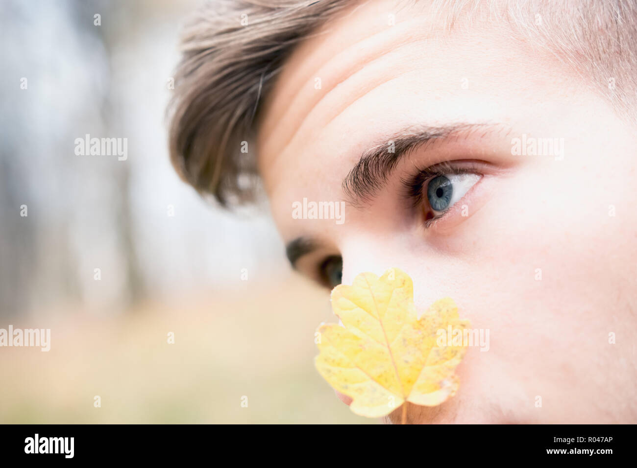 Portrait of a young boy with blue eyes in natural light, autumn in the forest Stock Photo