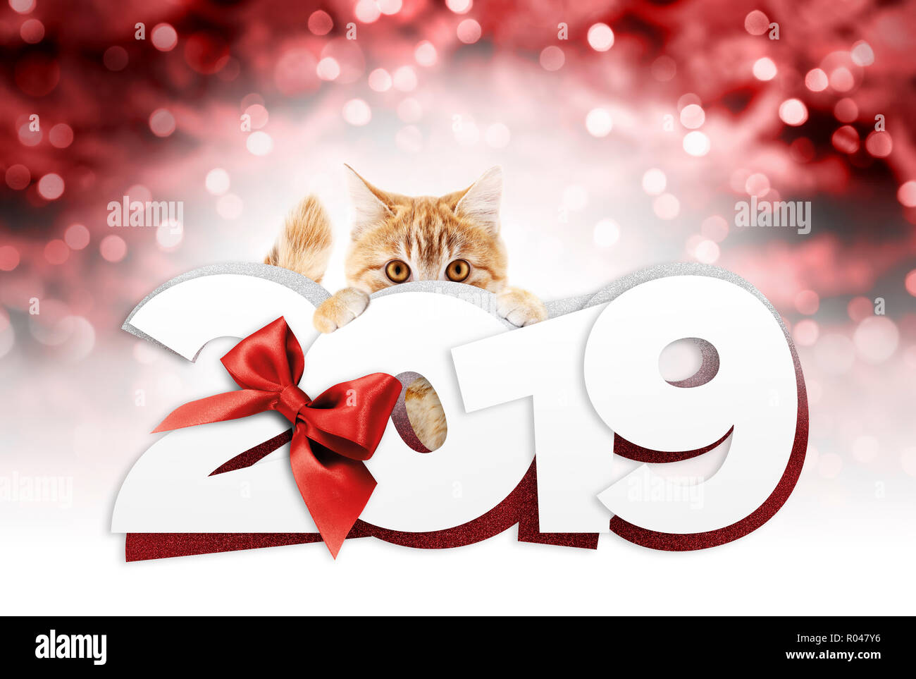 ginger cat  showing happy new  year  2020  text with red 