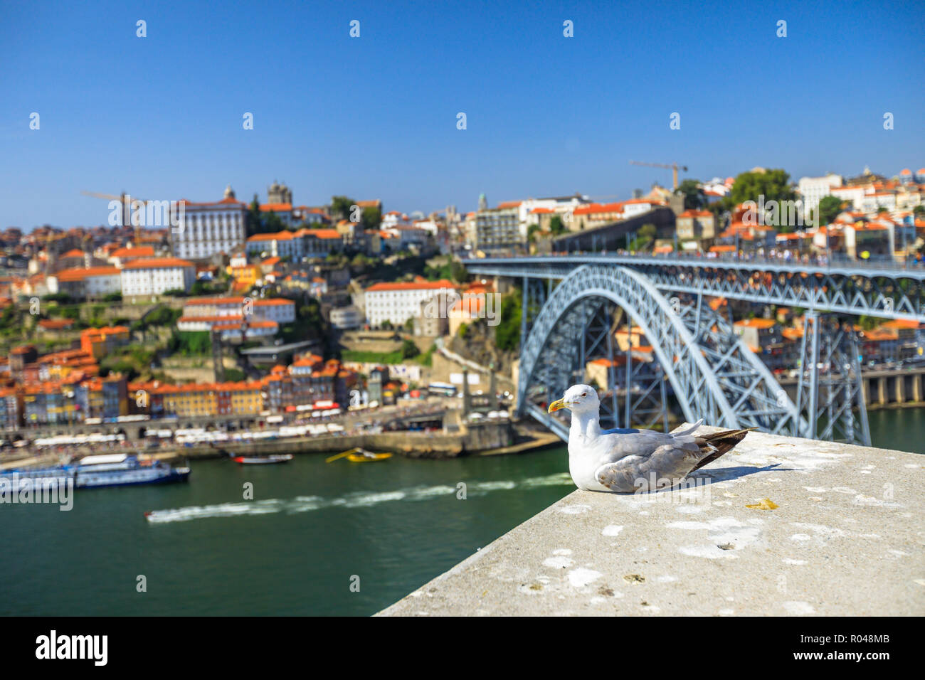 Oporto urban cityscape with seagull and tourist boats cruising, Douro River in Porto. Aerial view of Dom Luis I Bridge, Ribeira Waterfront and Rabelo boats from Vila Nova de Gaia, Porto, Portugal. Stock Photo