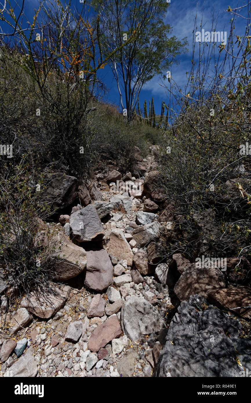 Sierra de San Francisco, BCS, Mexico Stock Photo Alamy