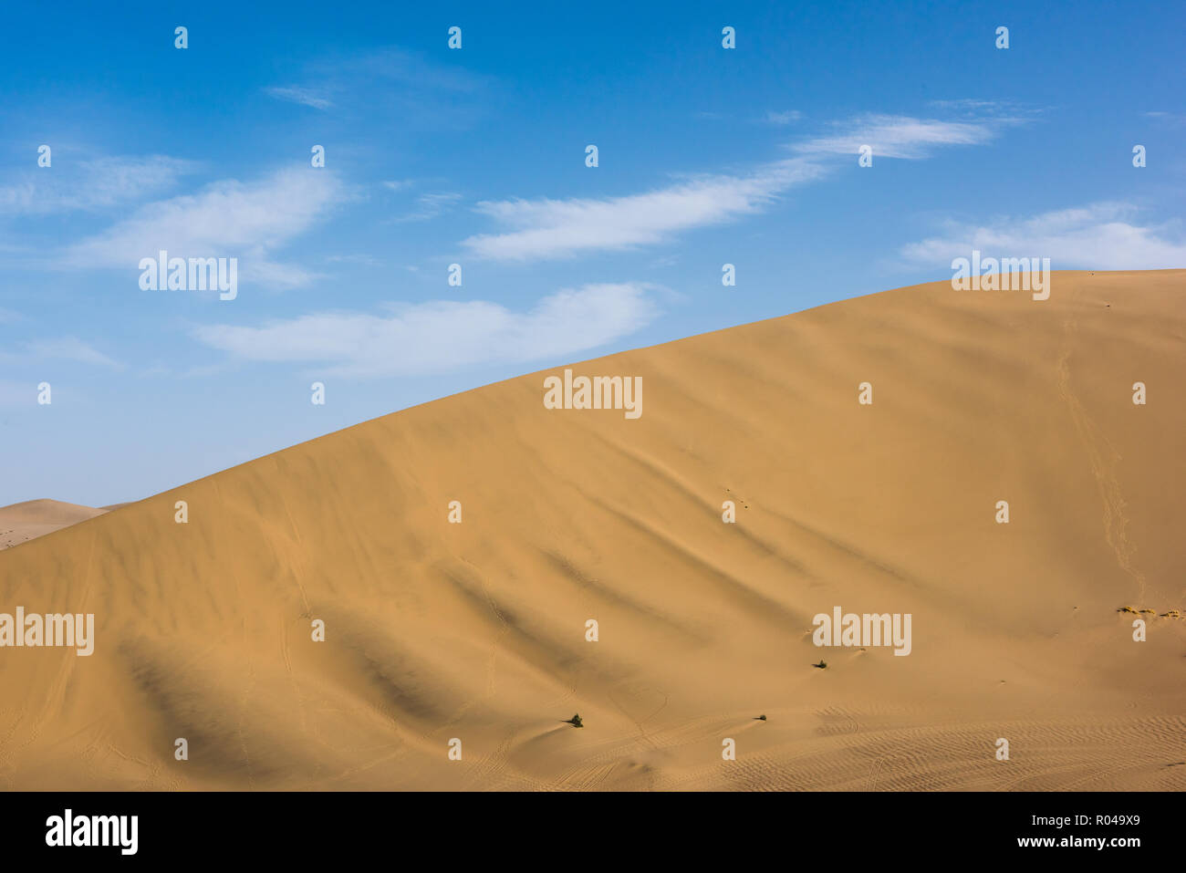 Desert sand dunes with blue sky background. Beautiful curves of deserts Stock Photo