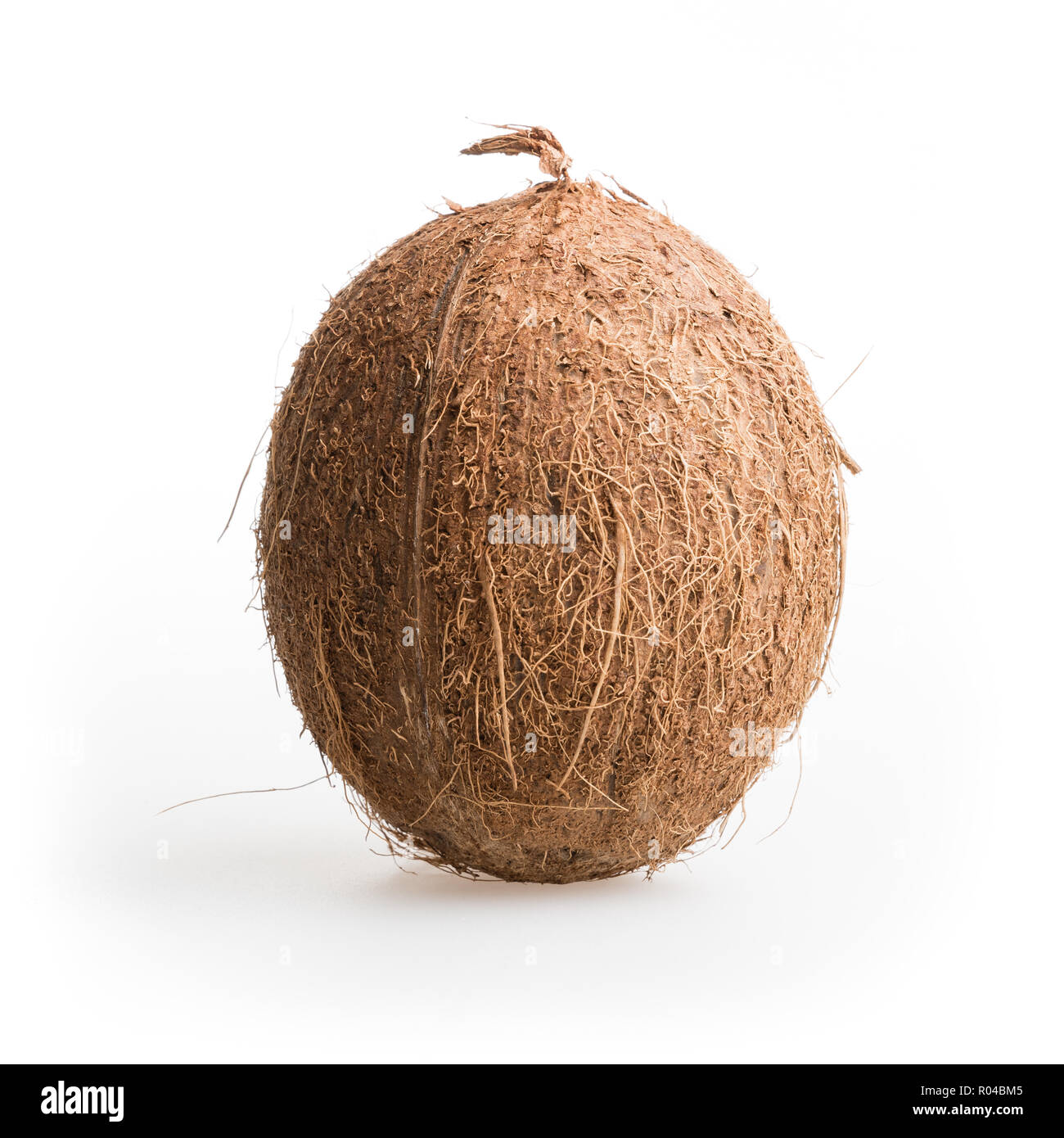Hairy coconut hires stock photography and images Alamy