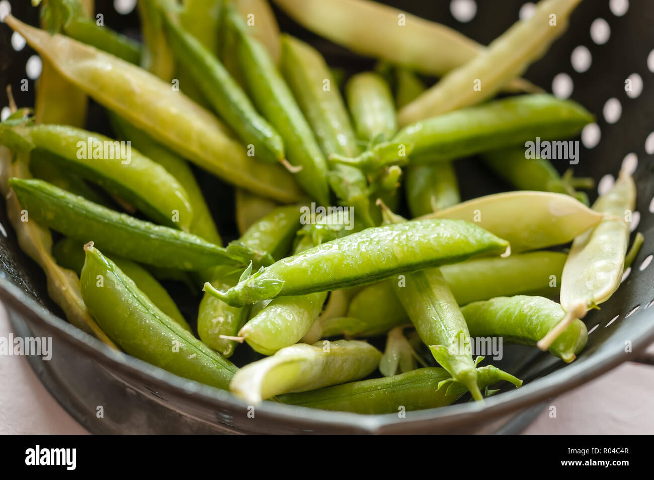 Freshly washed pea pods in a colander. Stock Photo