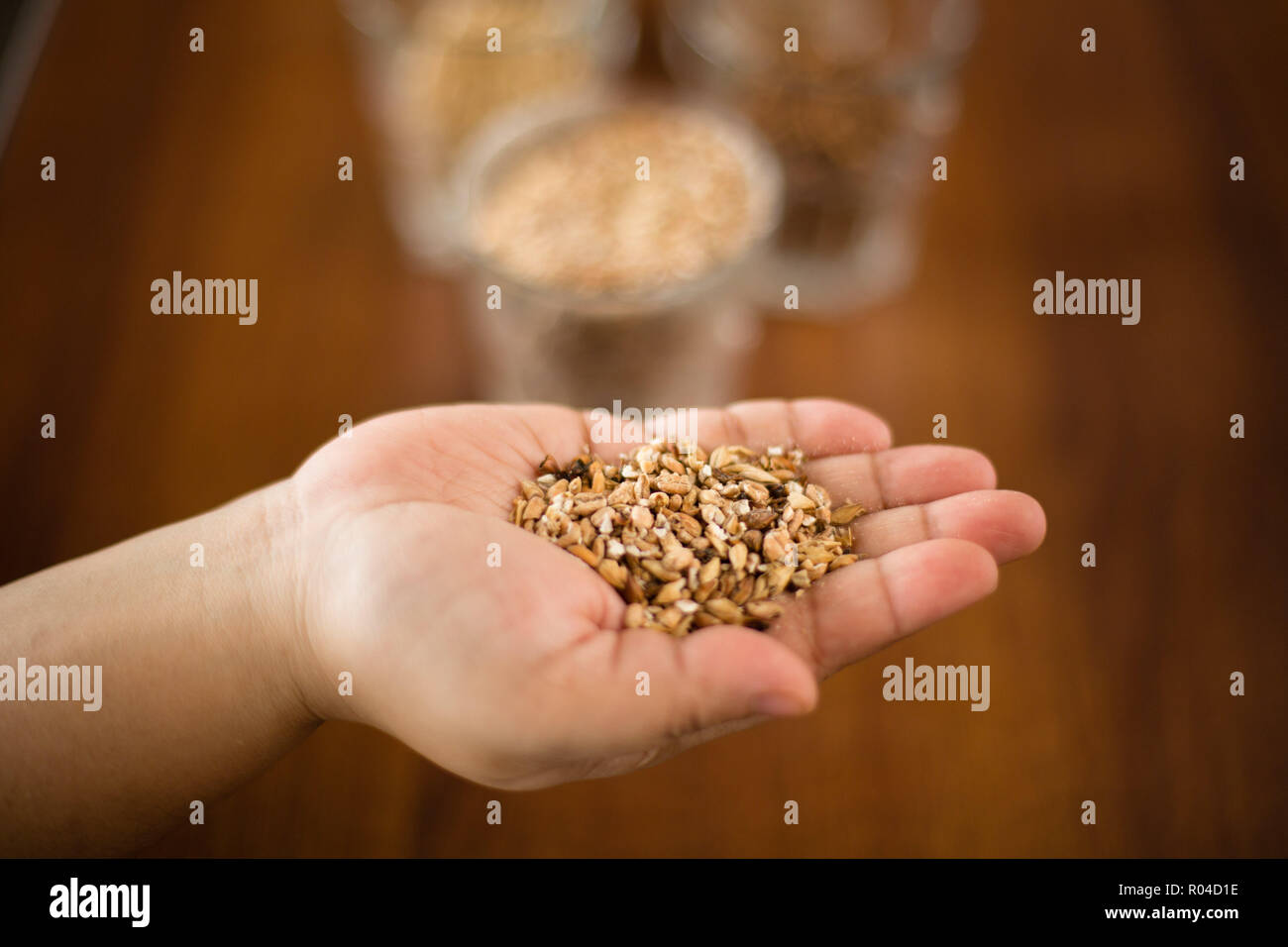 Malted barley, an important ingredient in beer production, it can also