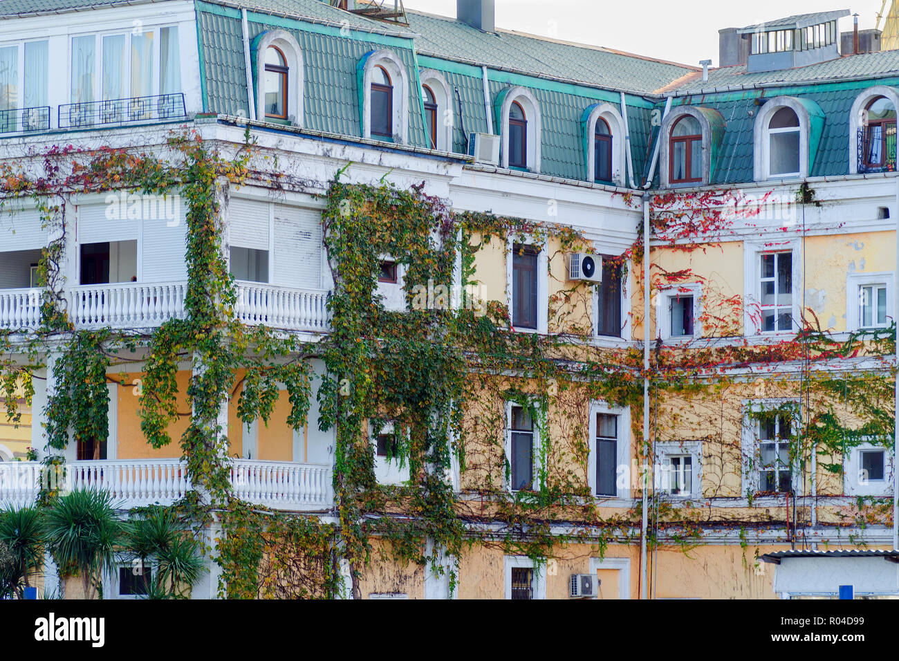 Batumi, Georgia, 2017-11-04: General architecture - facade of traditional residential building, covered with ivy and grape varnish. Stock Photo
