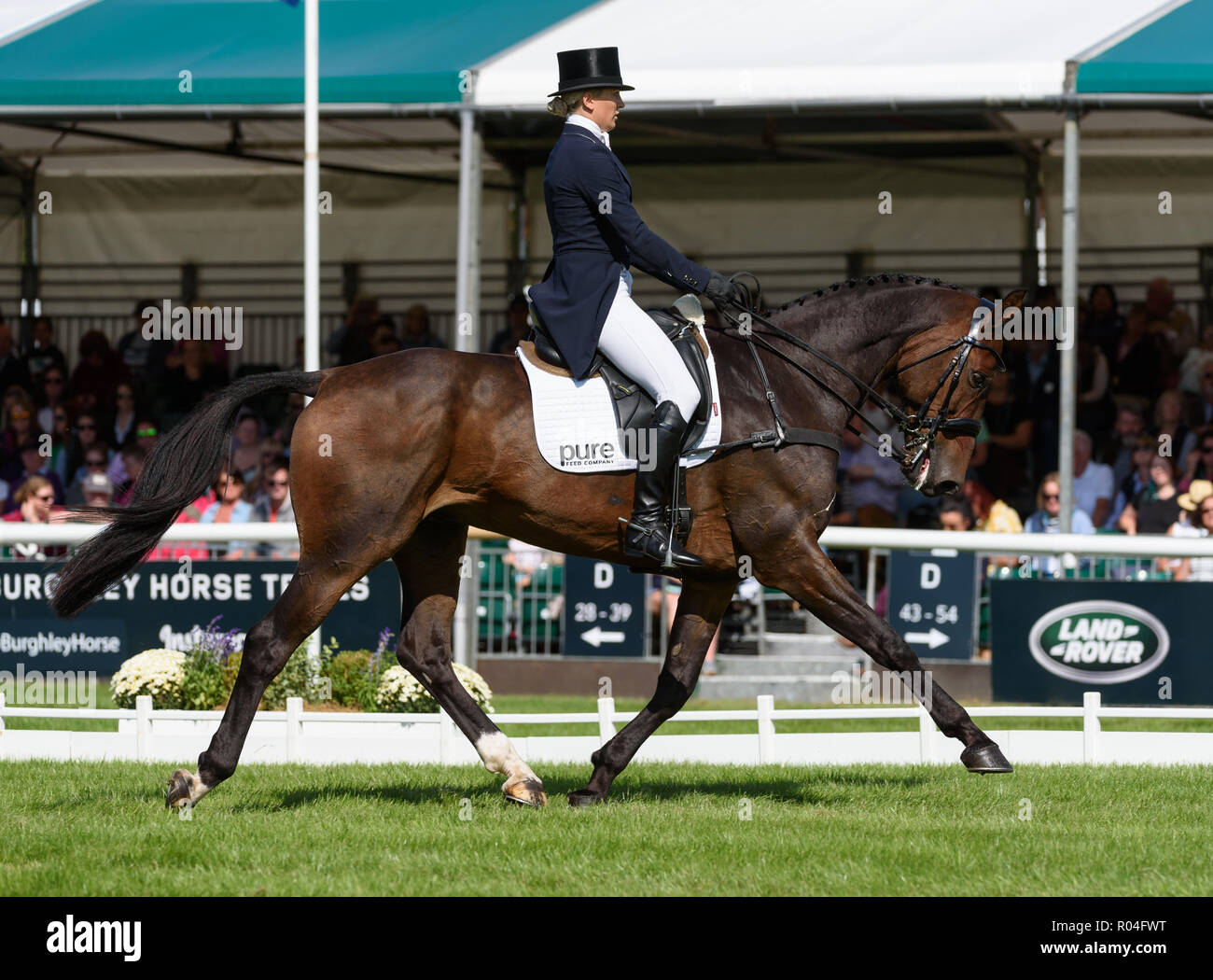 Lissa Green and HOLLYFIELD II performs an extended trot during the dressage phase of the Land Rover Burghley Horse Trials, 2018 Stock Photo
