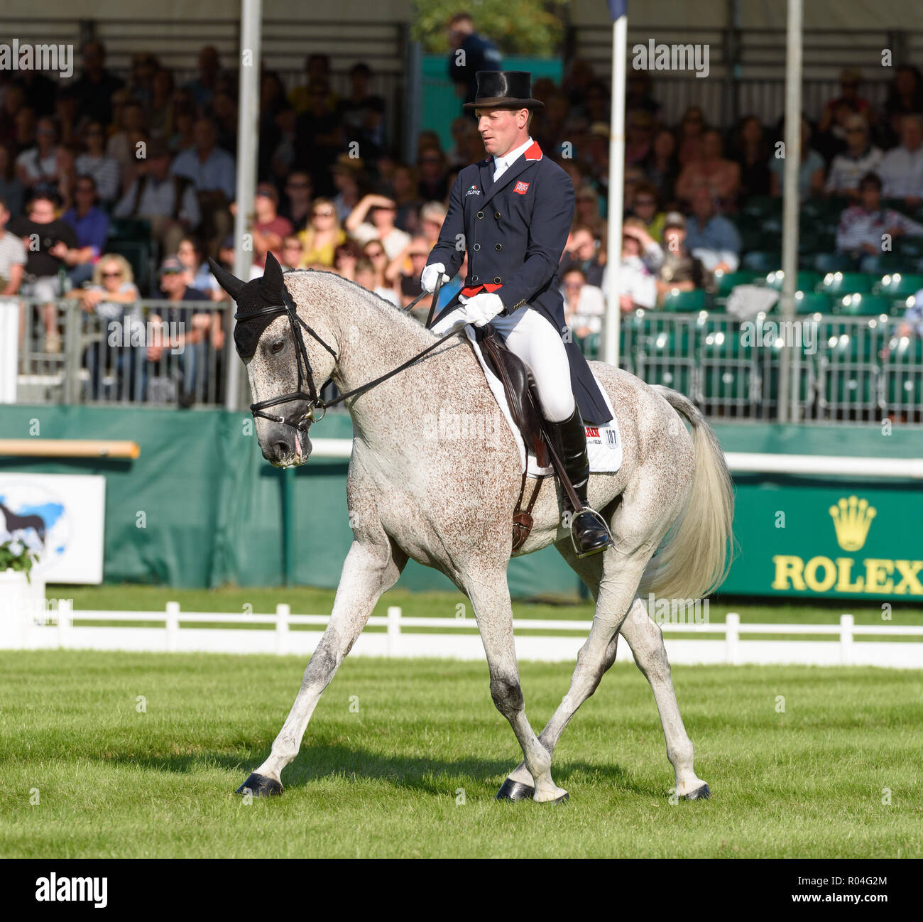 Oliver Townend and BALLAGHMOR CLASS performs a half pass during the dressage phase of the Land Rover Burghley Horse Trials, 2018 Stock Photo