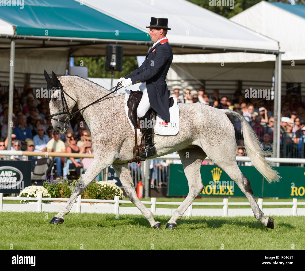 Oliver Townend and BALLAGHMOR CLASS during the dressage phase of the Land Rover Burghley Horse Trials, 2018 Stock Photo