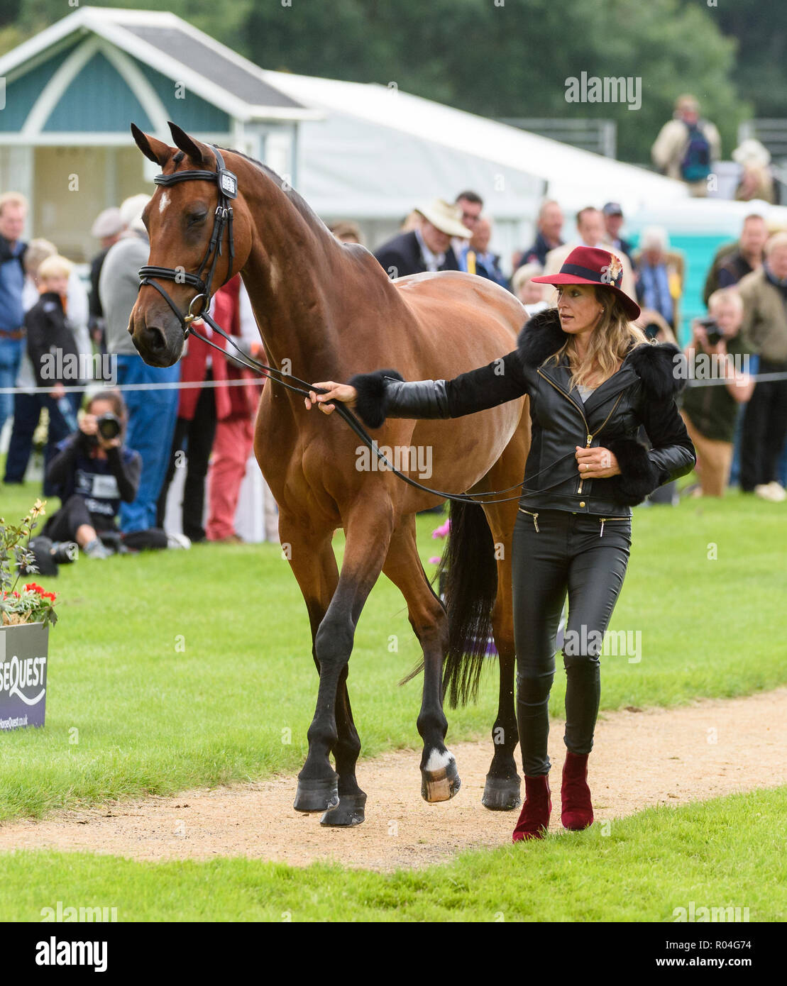 Sarah Bullimore and REVE DU ROUET during the vets inspection, Land Rover Burghley Horse Trials, Stamford, Lincolnshire, 2018 Stock Photo