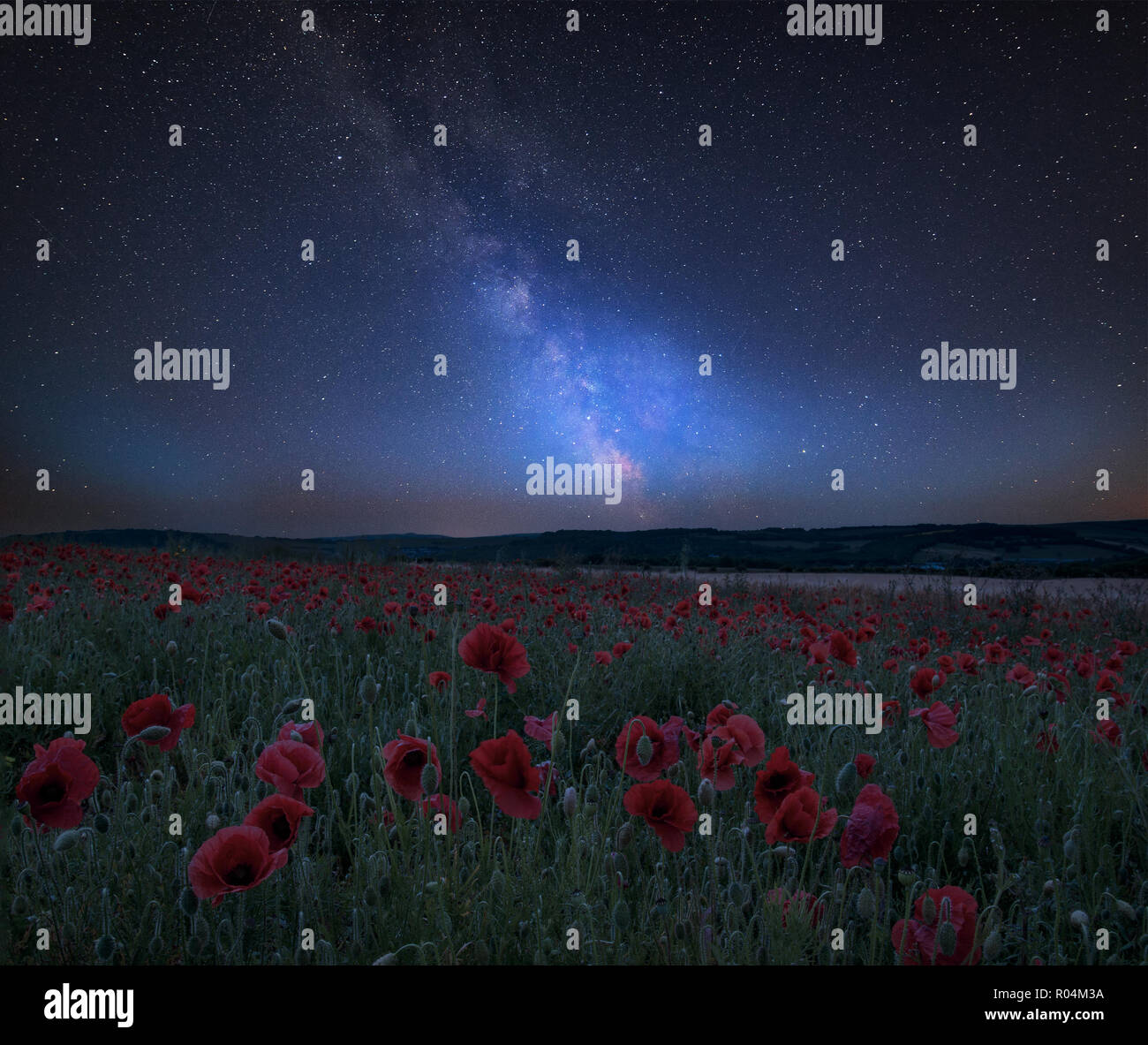 Stunning vibrant Milky Way composite image over landscape of poppy ...