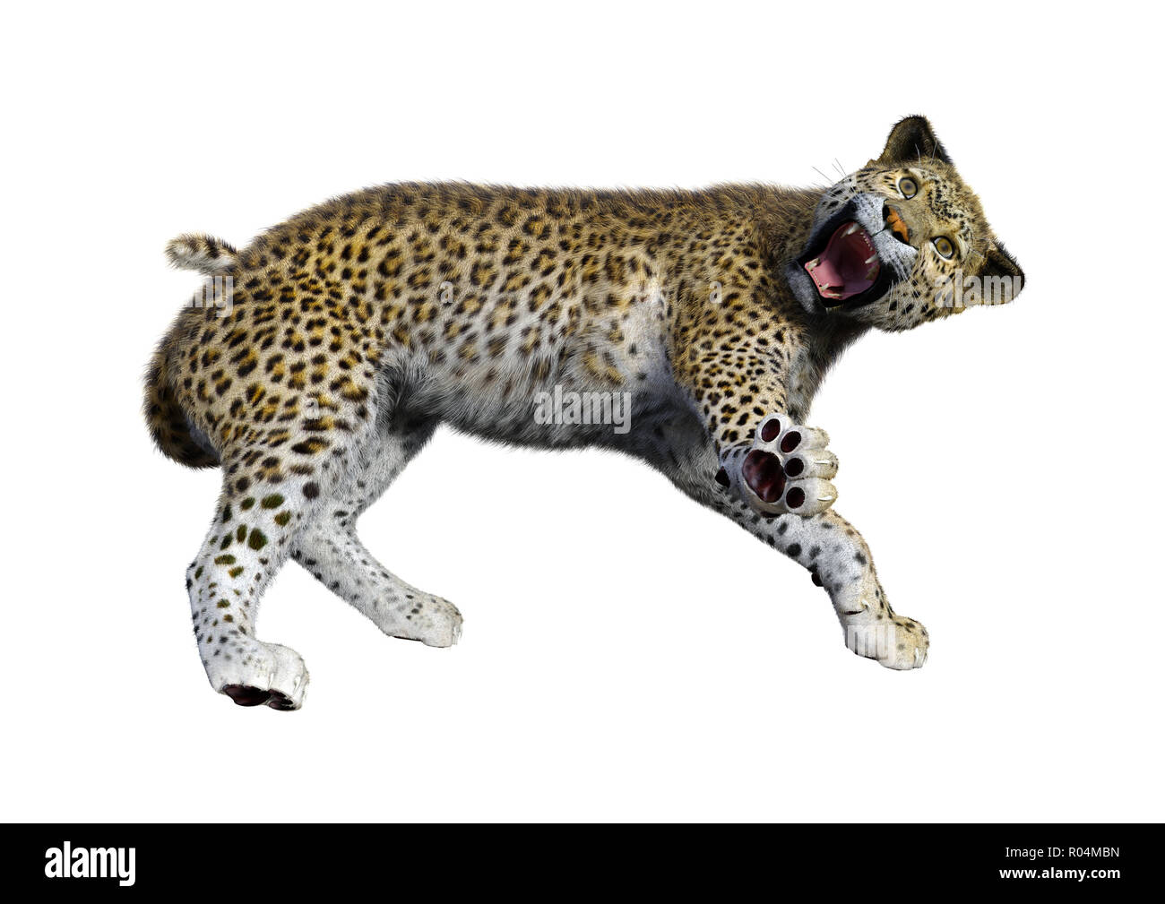 3D rendering of a big cat leopard isolated on white background Stock ...