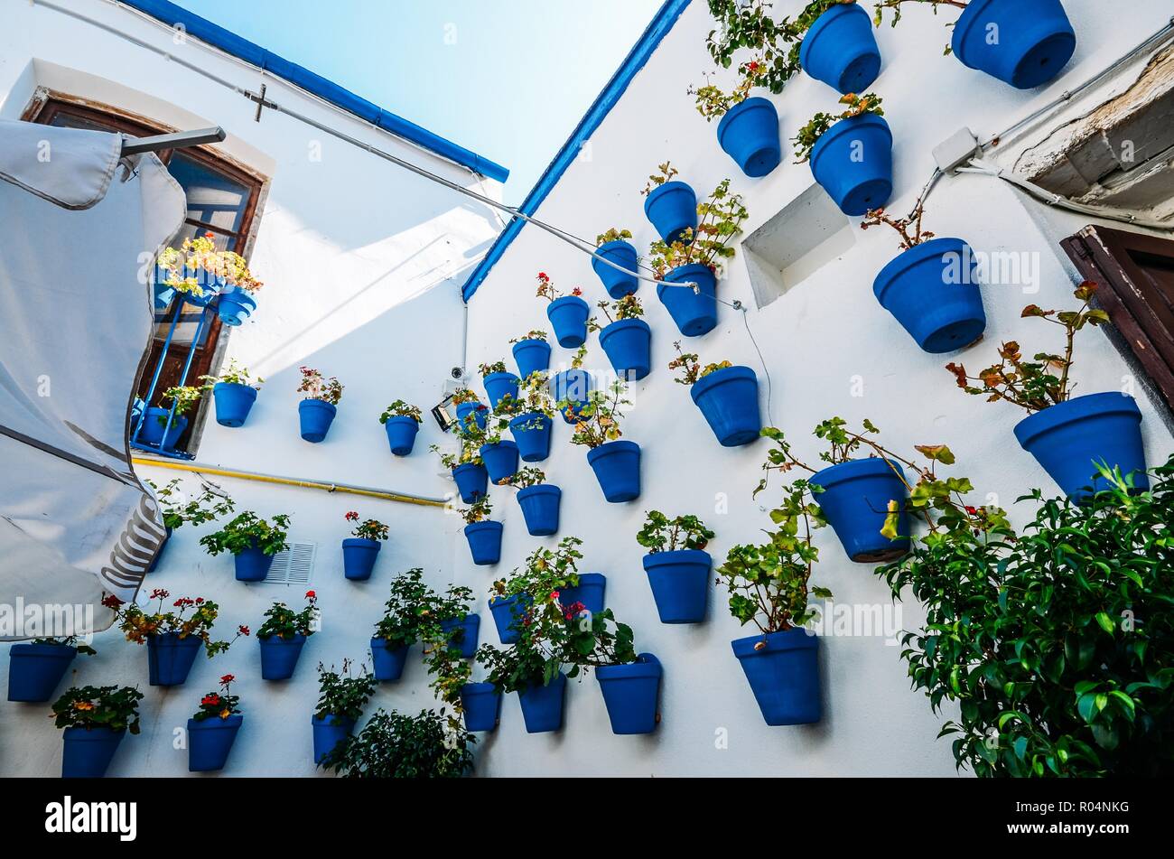 Traditional blue pots on a whitewashed wall in Cordoba, Andalucia, Spain, Europe Stock Photo
