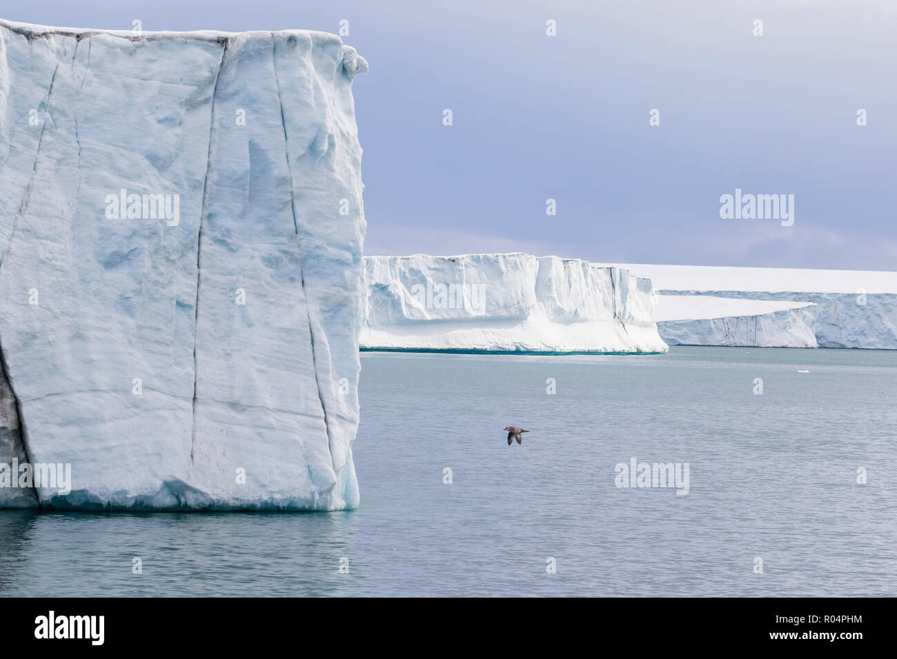 Glacier face at Negribreen, Eastern coast of Spitsbergen, an island in the Svalbard Archipelago, Arctic, Norway, Europe Stock Photo