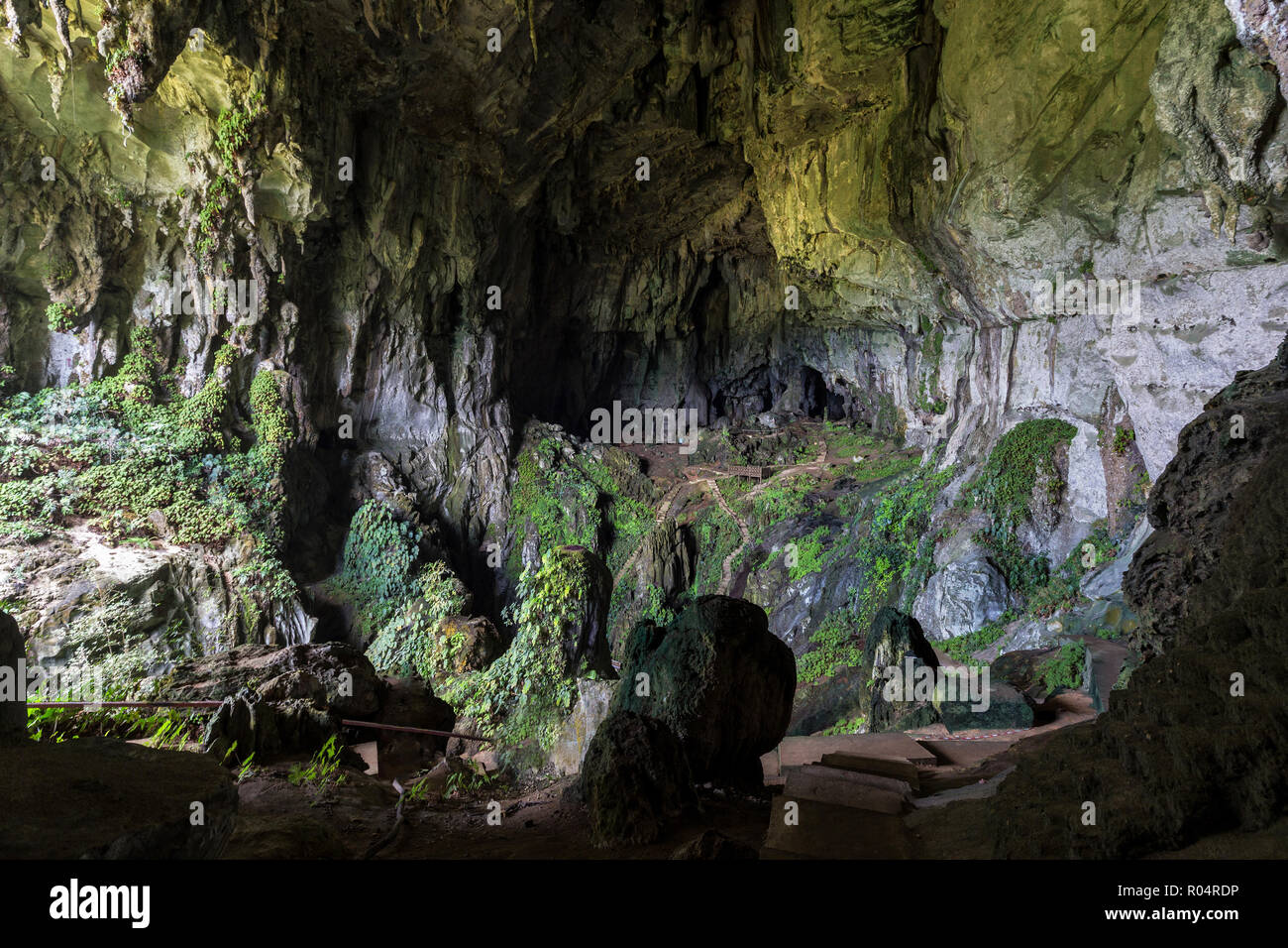 The very large fairy cave in Malaysia, Sarawak, Borneo Stock Photo - Alamy