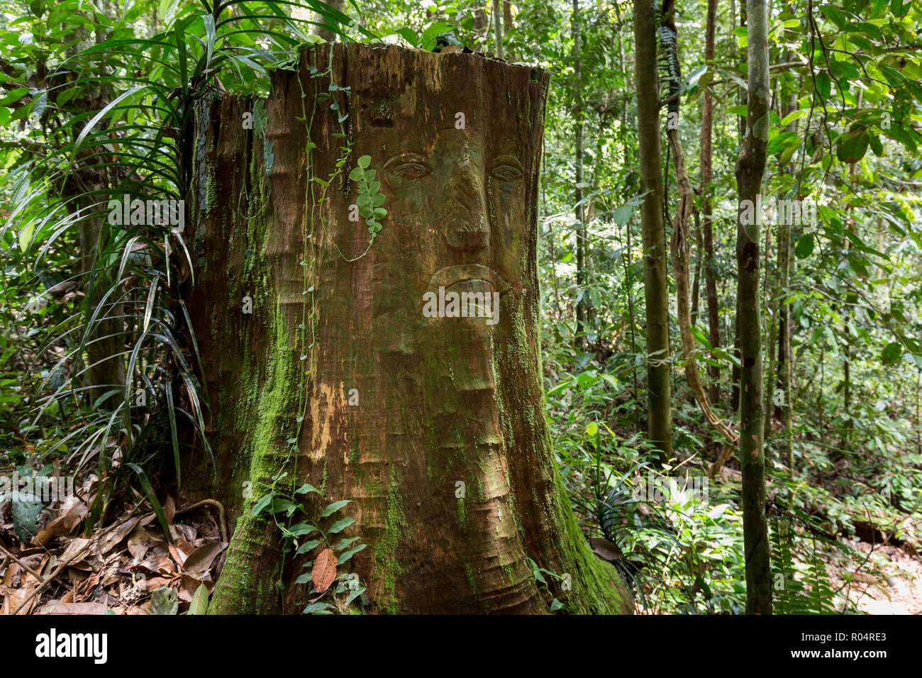 Malaysia Wood Carving Stock Photos & Malaysia Wood Carving 