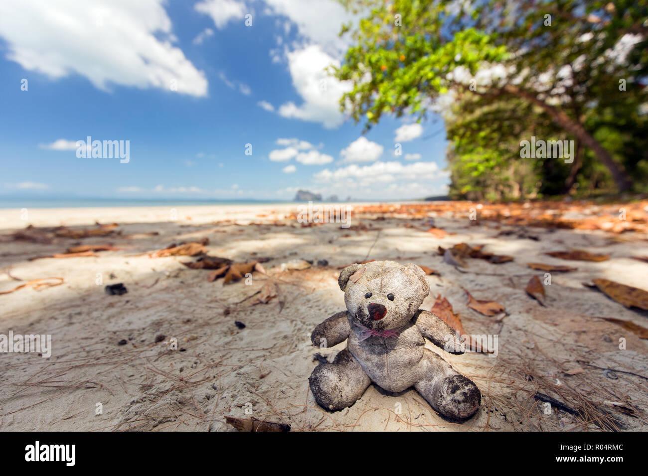 Teddy bear beached on tropical wild beach in the Trang province in Thailand. Stock Photo