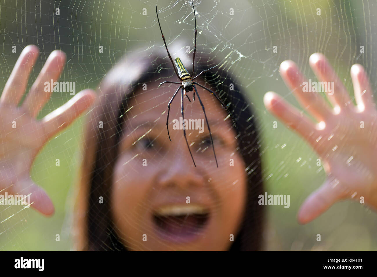 Woman scared spider hires stock photography and images Alamy