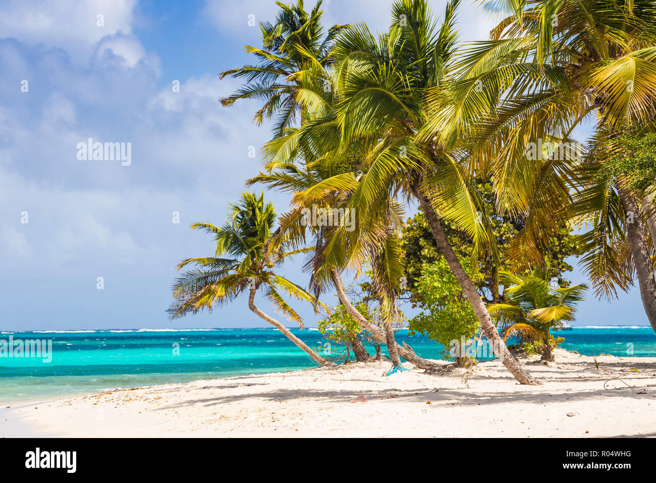 Petit Bateau, Tobago Cays, The Grenadines, St. Vincent and The Grenadines,  West Indies, Caribbean, Central America Stock Photo - Alamy