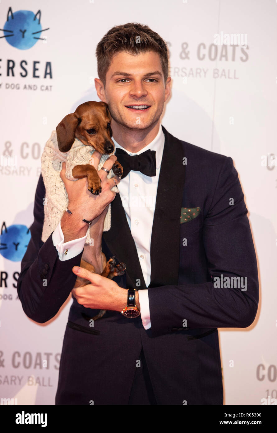 London, UK. 1st November, 2018. London, UK. 1st November, 2018. Jim Chapman attends the Battersea Dogs & Cats Home Collars & Coats Gala Ball 2018 at Battersea Evolution on November 01, 2018 in London, England Credit: Gary Mitchell, GMP Media/Alamy Live News Stock Photo