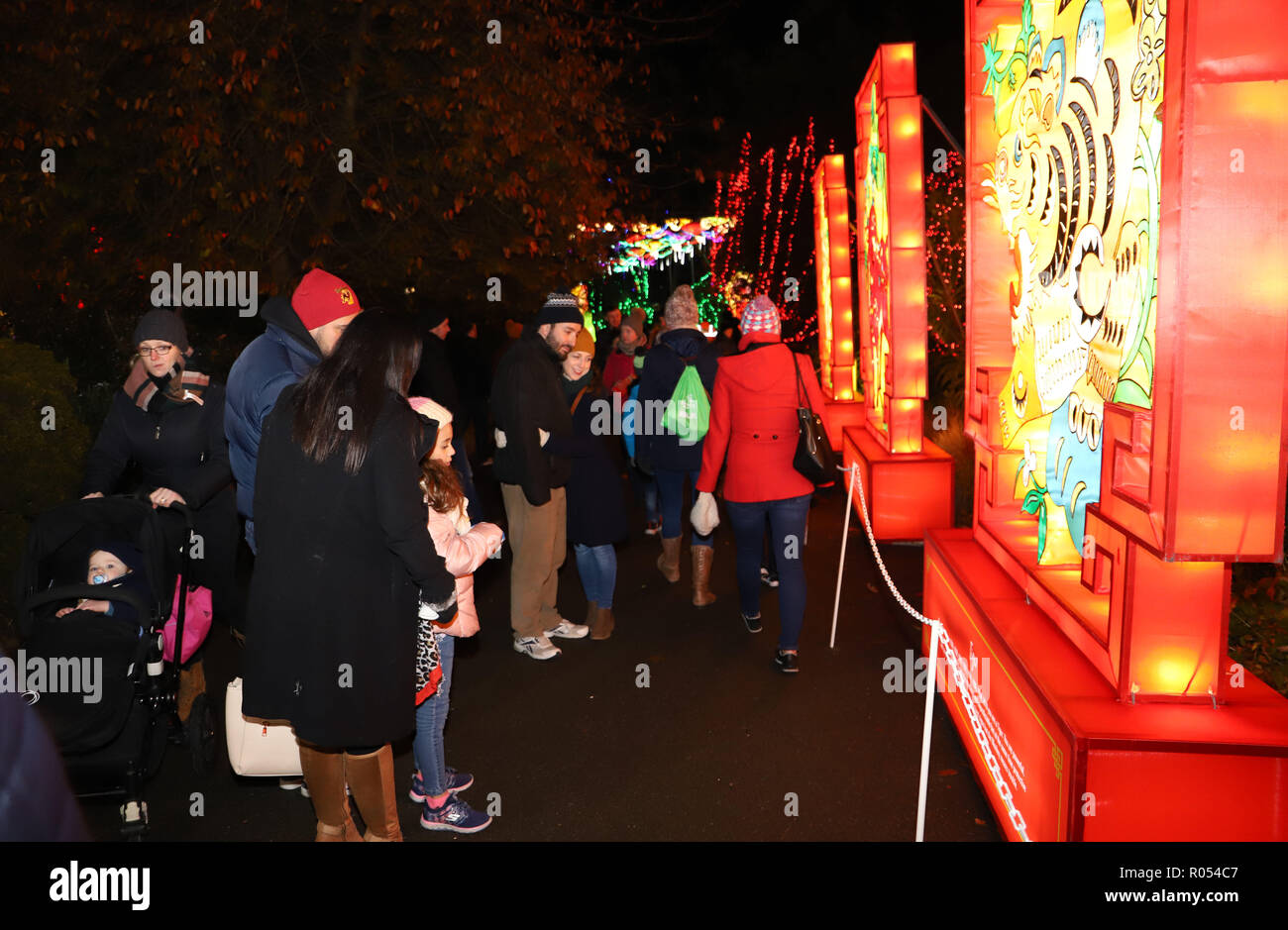 Dublin, Ireland. 1st Nov, 2018. Visitors are seen at a lantern festival in  Dublin Zoo, Dublin, Ireland, Nov. 1, 2018. A lantern festival with all  creations from China opened here at Dublin