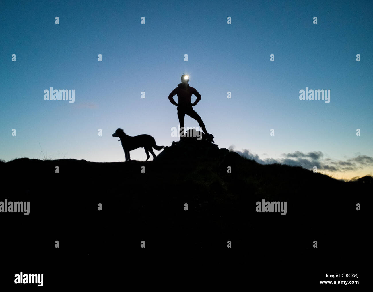 Lauder, Scottish Borders, Scotland. UK 1nd November 2018  A female women hill runner and her dog, stands on top of a cairn on Chesters Hill near Lauder in the Scottish Borders, as the dark nights close in, head torch night runners are taking advantage of lovely sunsets.  Credit PHIL WILKINSON / Alamy Live News Stock Photo