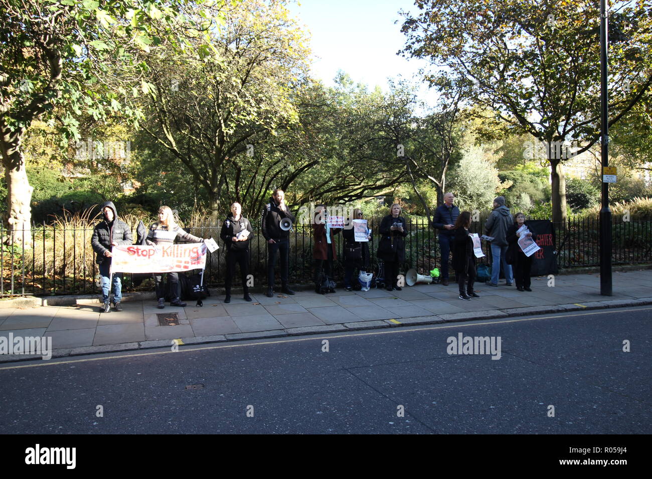 London, UK. 2nd Nov 2018. Protest outside the Danish Embassy, London to protest the ongoing, barbaric and savage killing of dolphins and whales during the Grindadrap hunts in the Faroe Islands. Credit: Jason Murphy/Alamy Live News Stock Photo