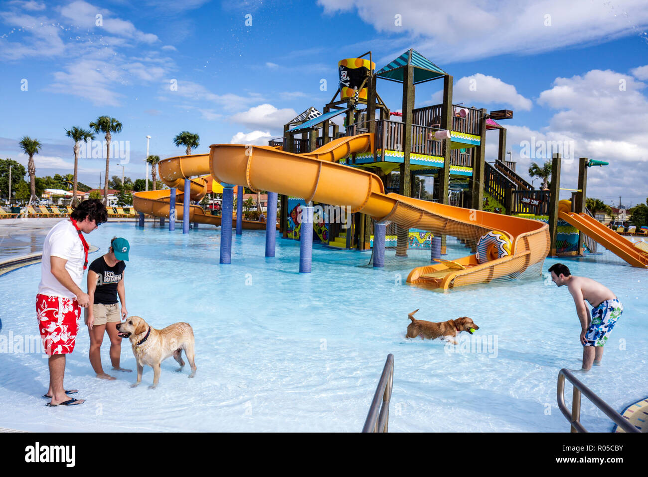 Miami Florida,Grapeland Water Park,dog dogs A Pool Ooza,Black Beard's  Beach,waterslide,water playground,Hispanic Latin Latino ethnic immigrant  immigra Stock Photo - Alamy