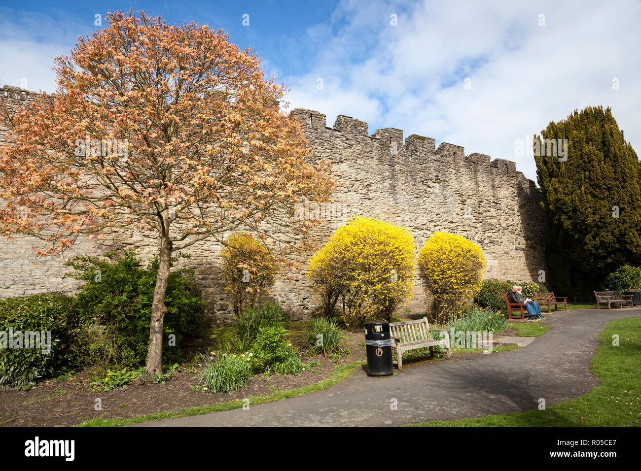 Outer castellated walls of Ludlow Castle. Stock Photo