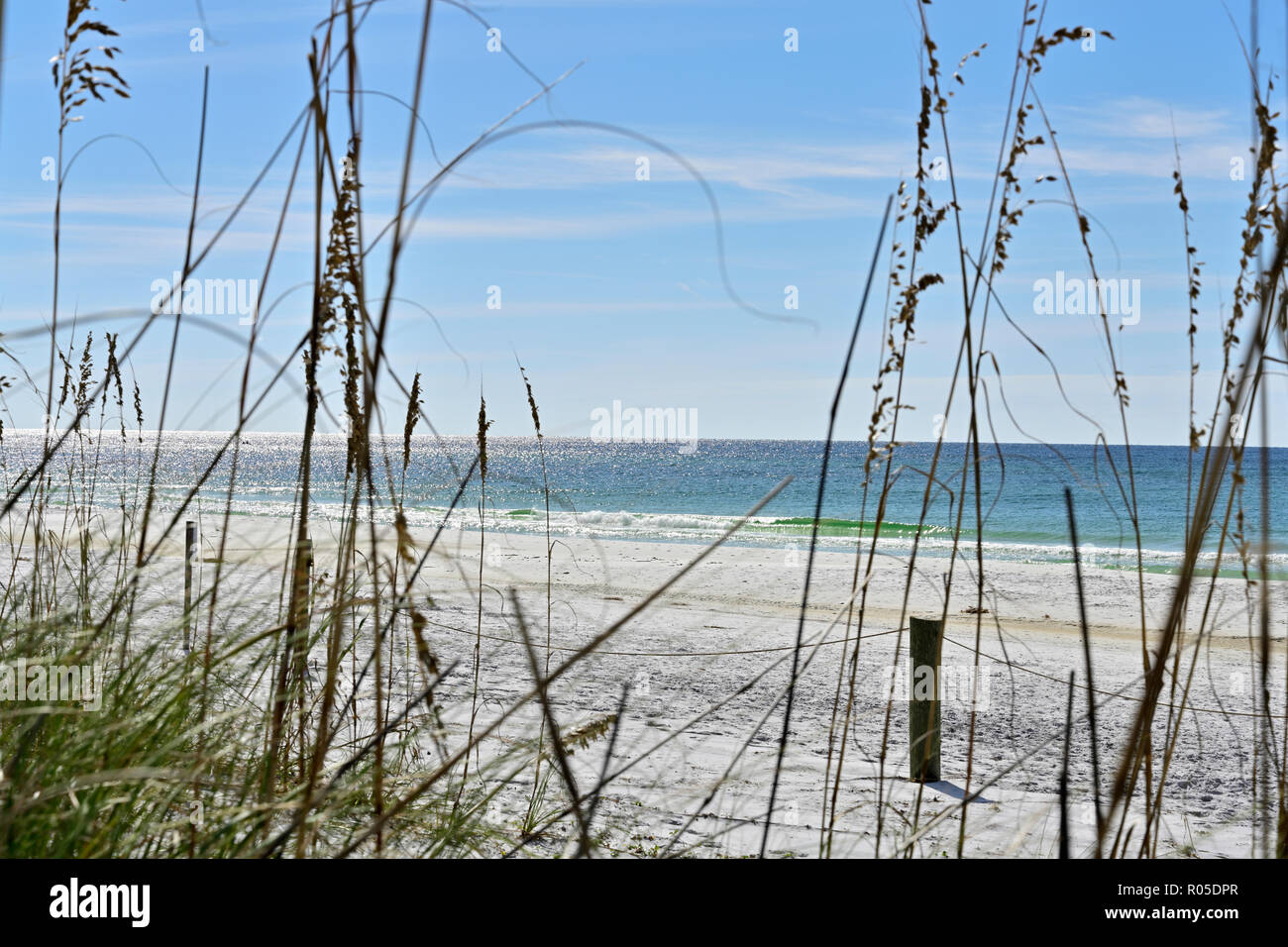 View of protected sea oats and the Gulf of Mexico along white sand or sandy Florida Gulf Coast beach in the Florida panhandle, USA. Stock Photo