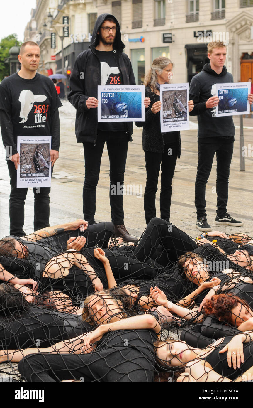 Protect animals protest hi-res stock photography and images - Alamy