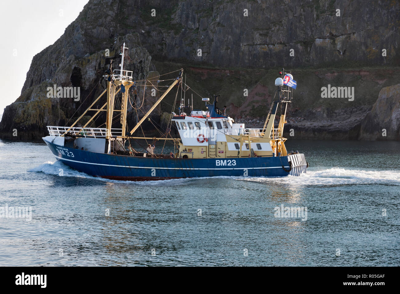 The beam-trawler Carhelmar BM23 outside its home port of Brixham, Devon, flying a flag stating  'No Fishing Sell-Out' (Brexit). Stock Photo