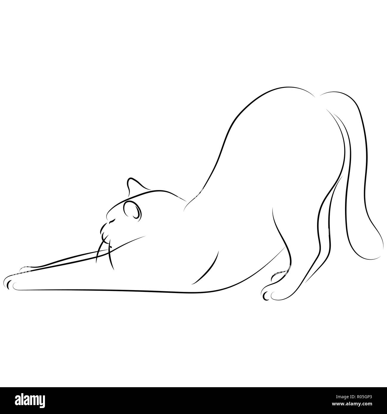 Black line cat stretch oneself on white background. Hand drawing vector. Sketch style graphic animal. Stock Vector