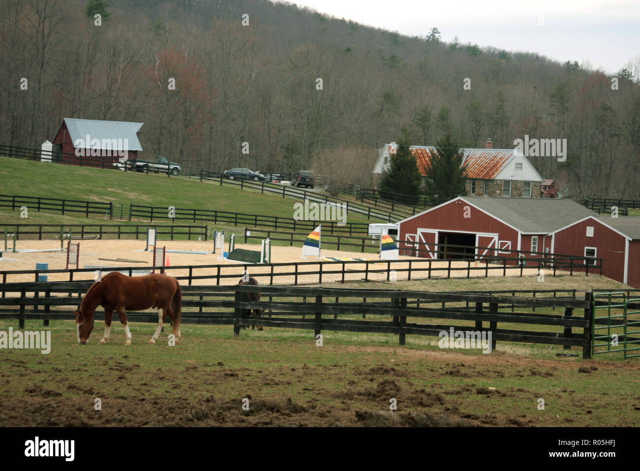 Virginia Horse Pasture Stock Photos & Virginia Horse Pasture Stock