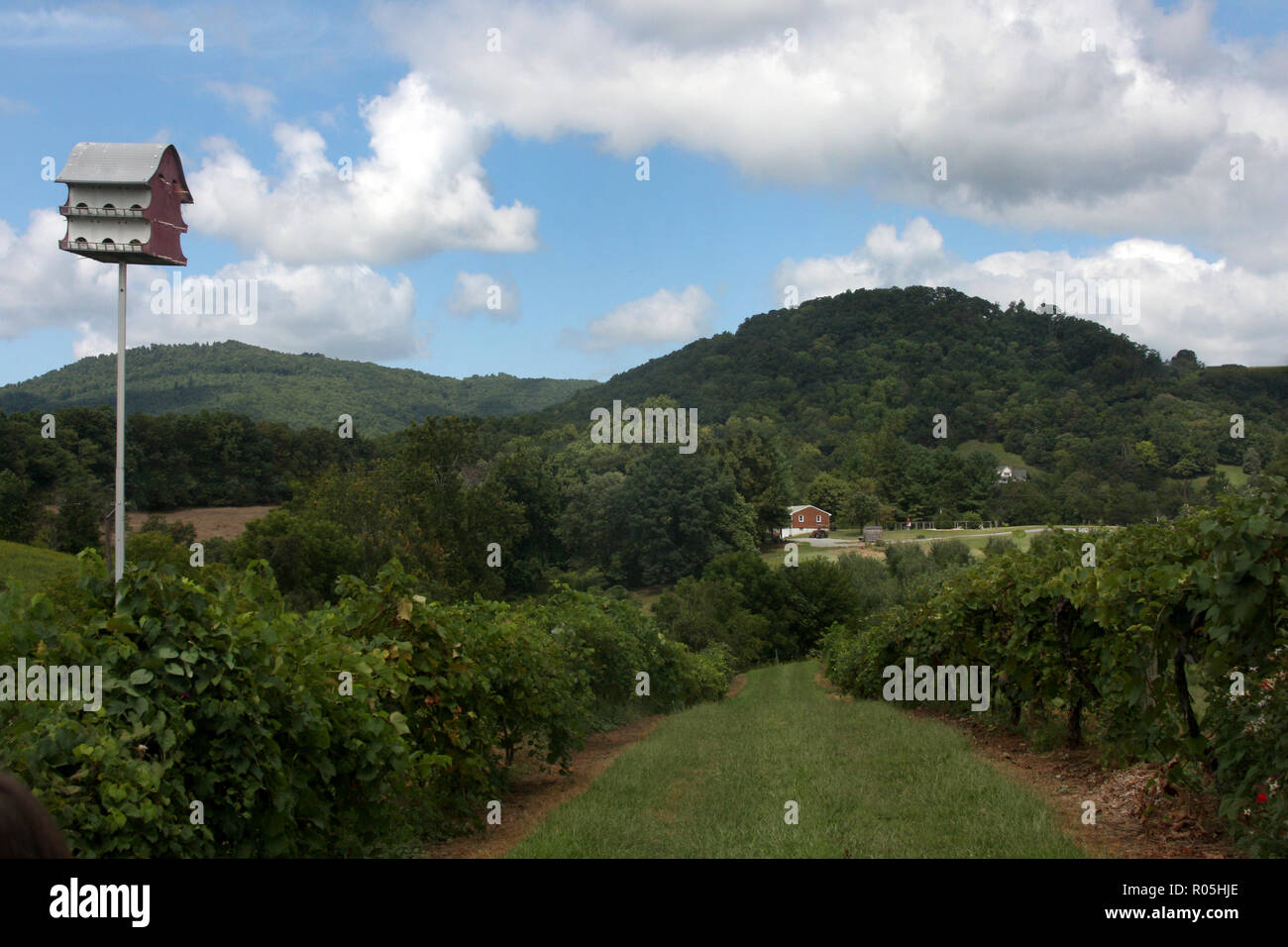 Blue ridge mountains vineyard hi-res stock photography and images - Alamy